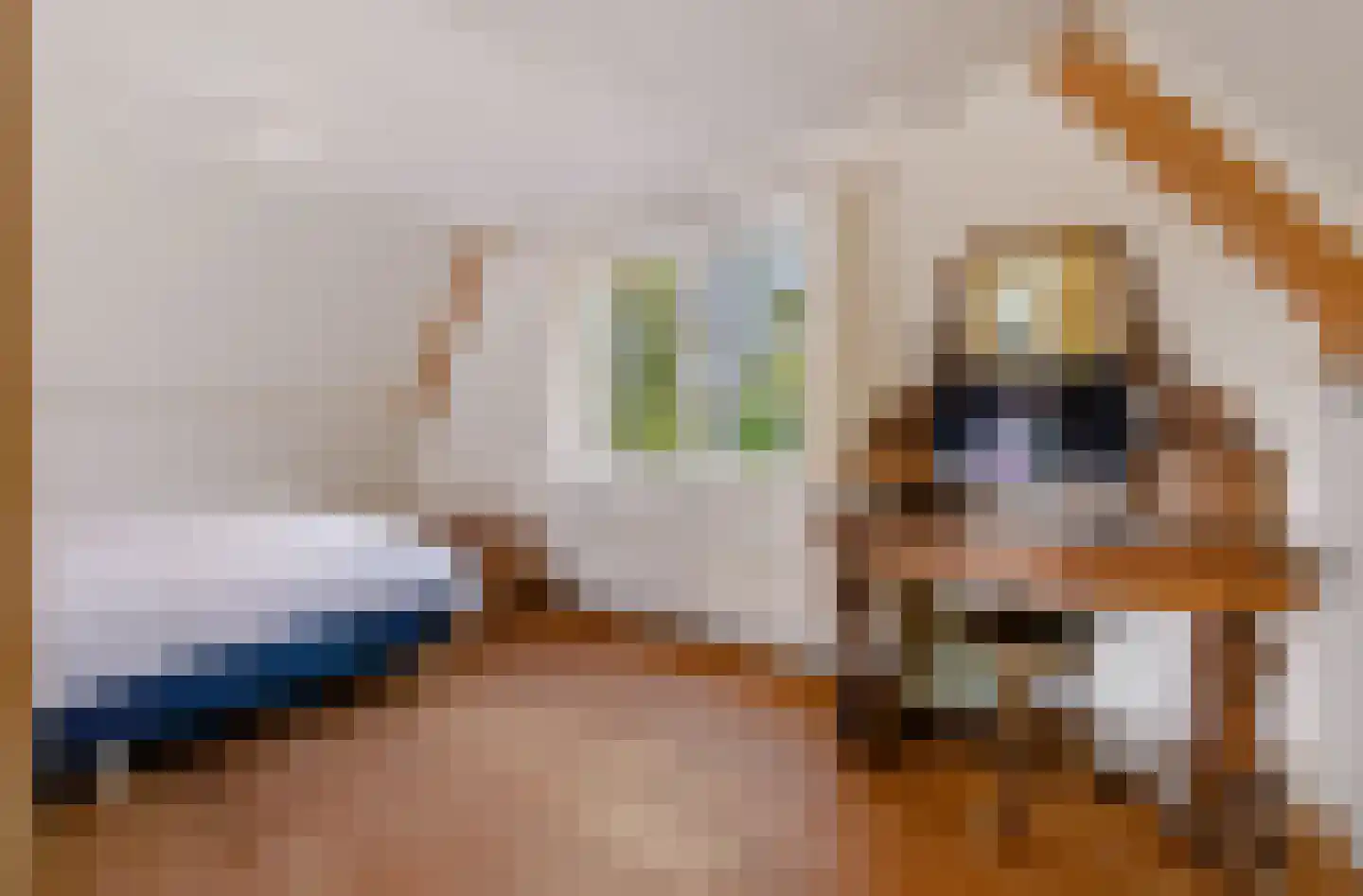 Muyweg 23 De Cocksdorp thumbnail 34