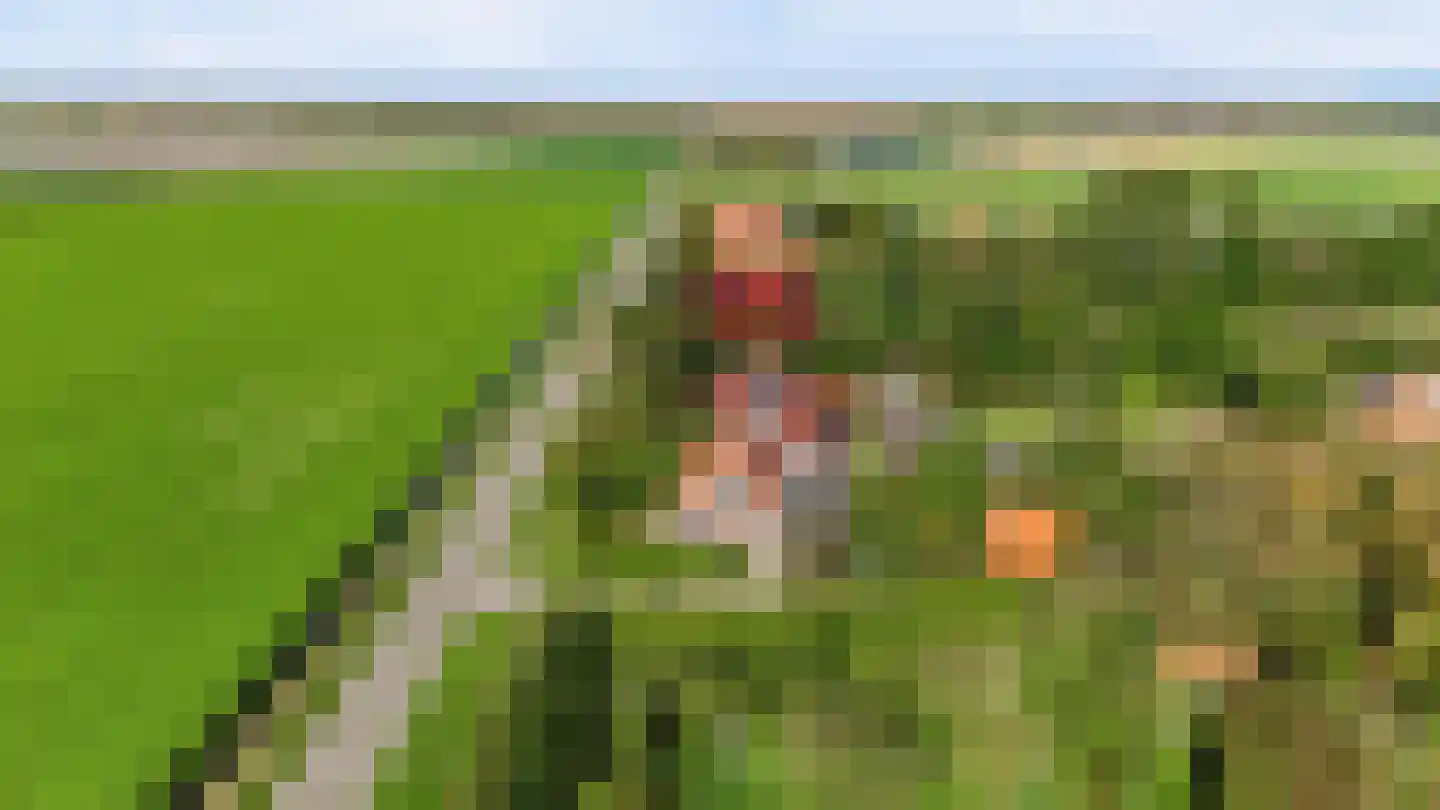 Muyweg 23 De Cocksdorp thumbnail 4