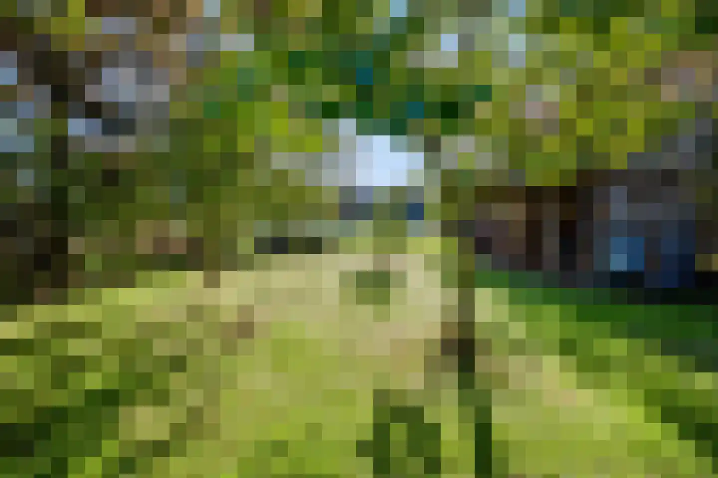 Muyweg 23 De Cocksdorp thumbnail 45