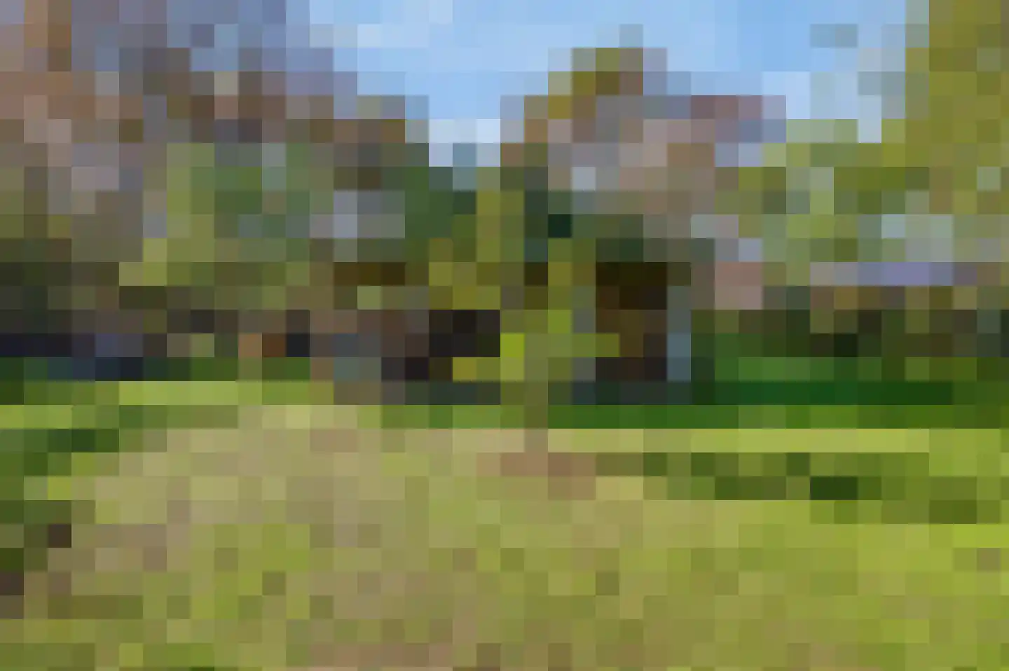 Muyweg 23 De Cocksdorp thumbnail 46