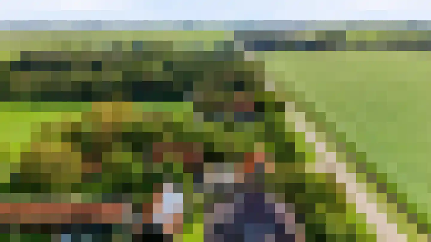 Muyweg 23 De Cocksdorp thumbnail 5