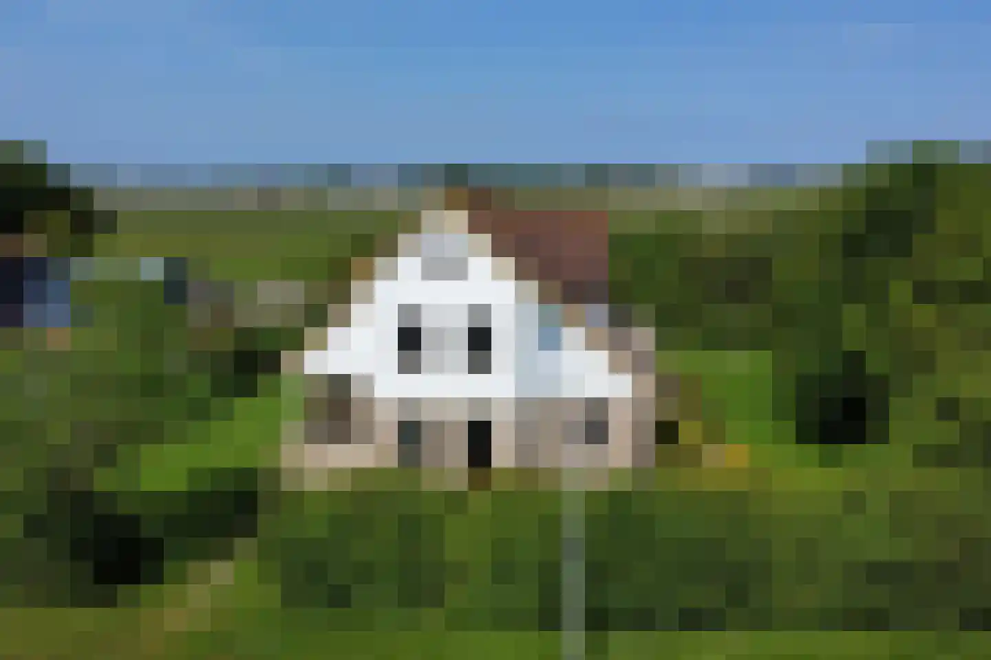 Muyweg 47 De Cocksdorp thumbnail 37