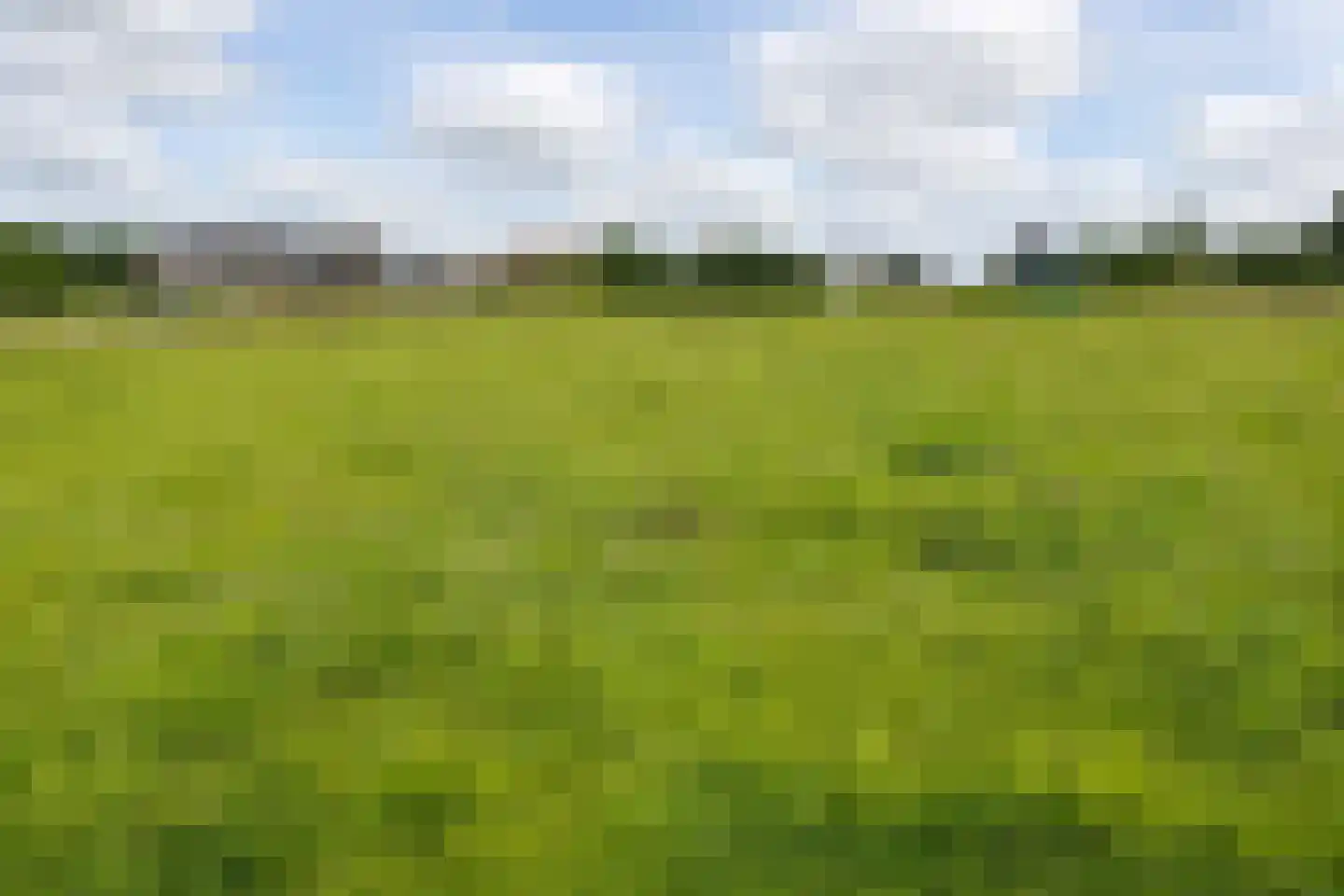 Muyweg 47 De Cocksdorp thumbnail 44