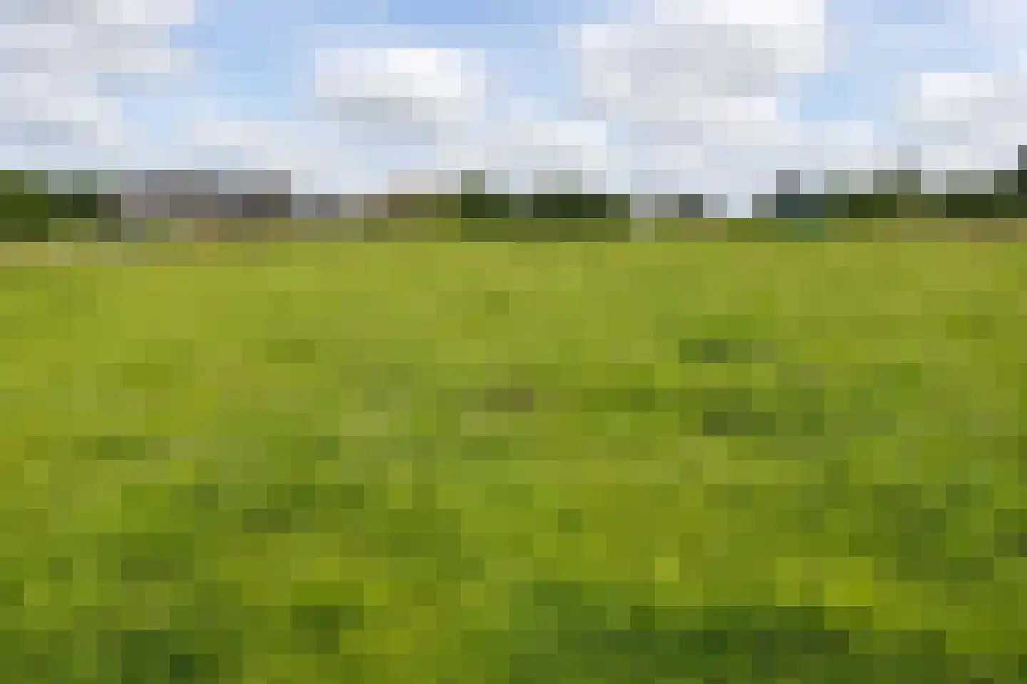 Muyweg 47 De Cocksdorp thumbnail 44