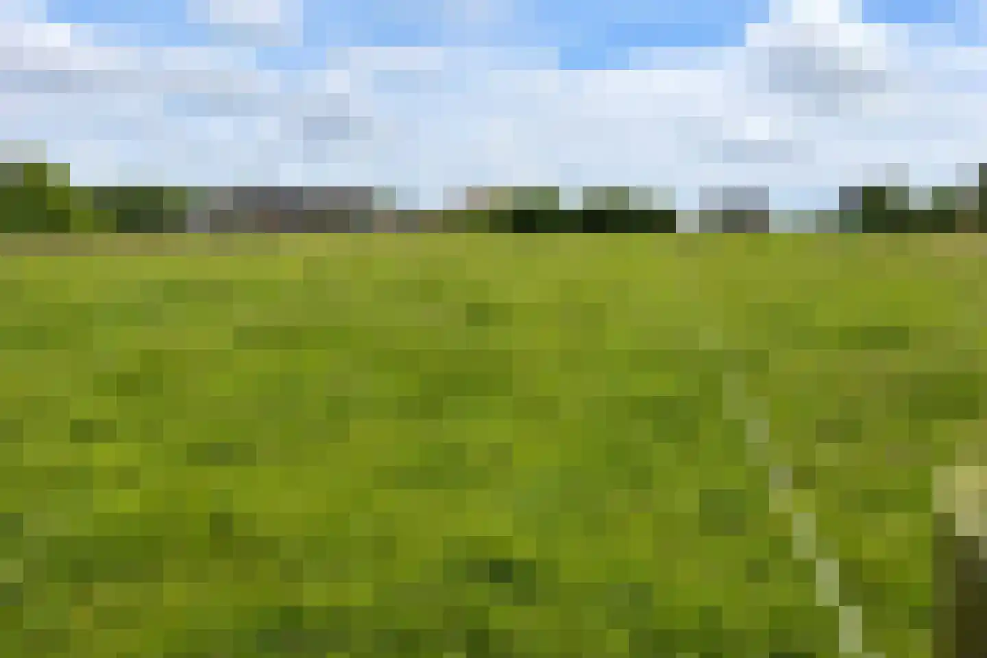 Muyweg 47 De Cocksdorp thumbnail 45