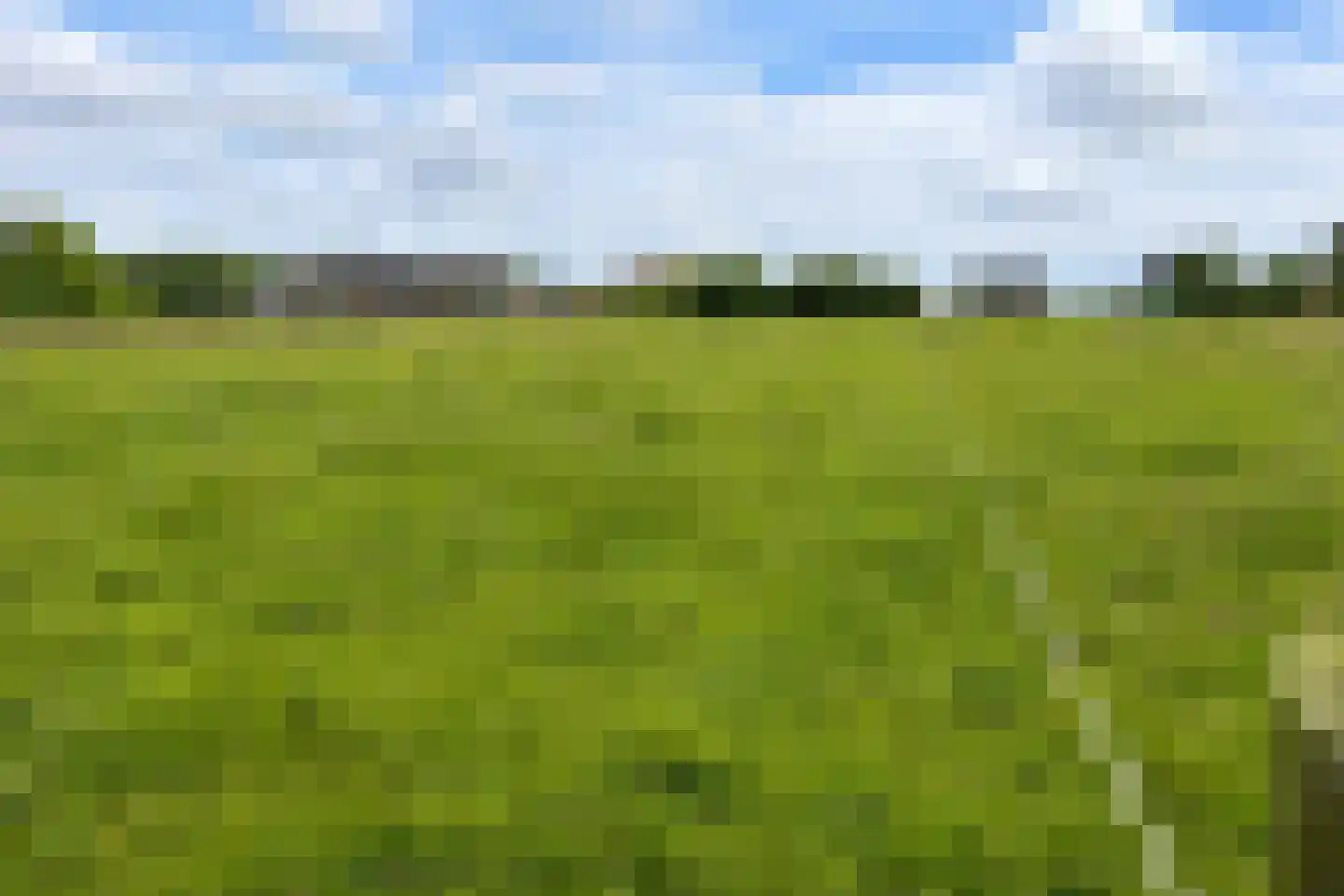Muyweg 47 De Cocksdorp thumbnail 45