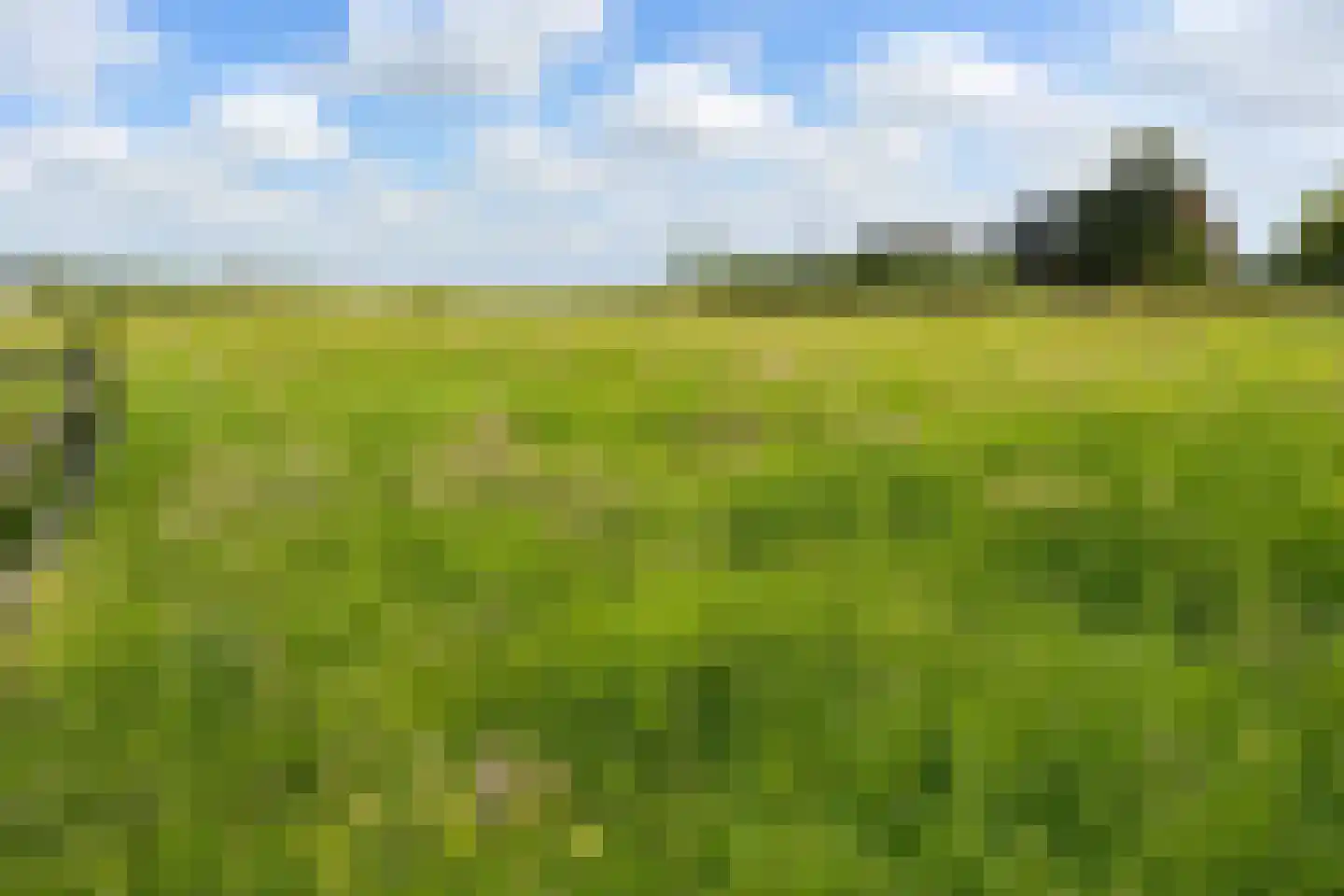 Muyweg 47 De Cocksdorp thumbnail 46