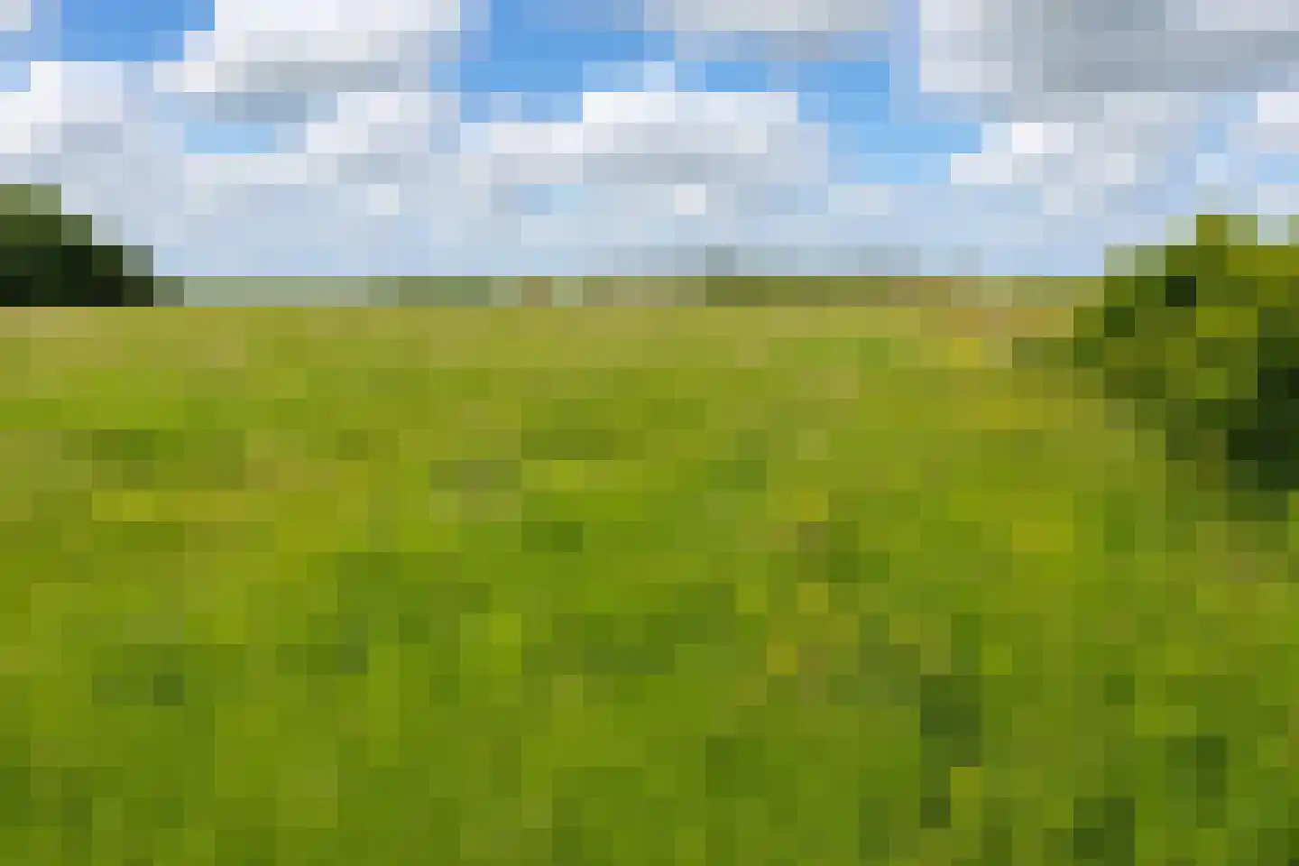Muyweg 47 De Cocksdorp thumbnail 47