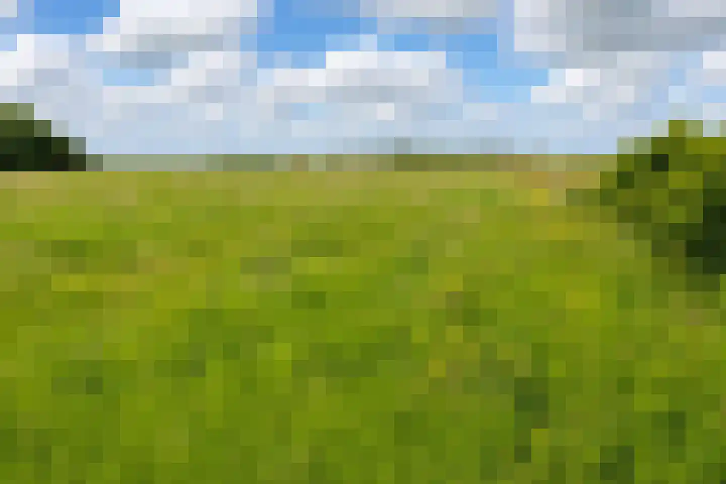 Muyweg 47 De Cocksdorp thumbnail 47