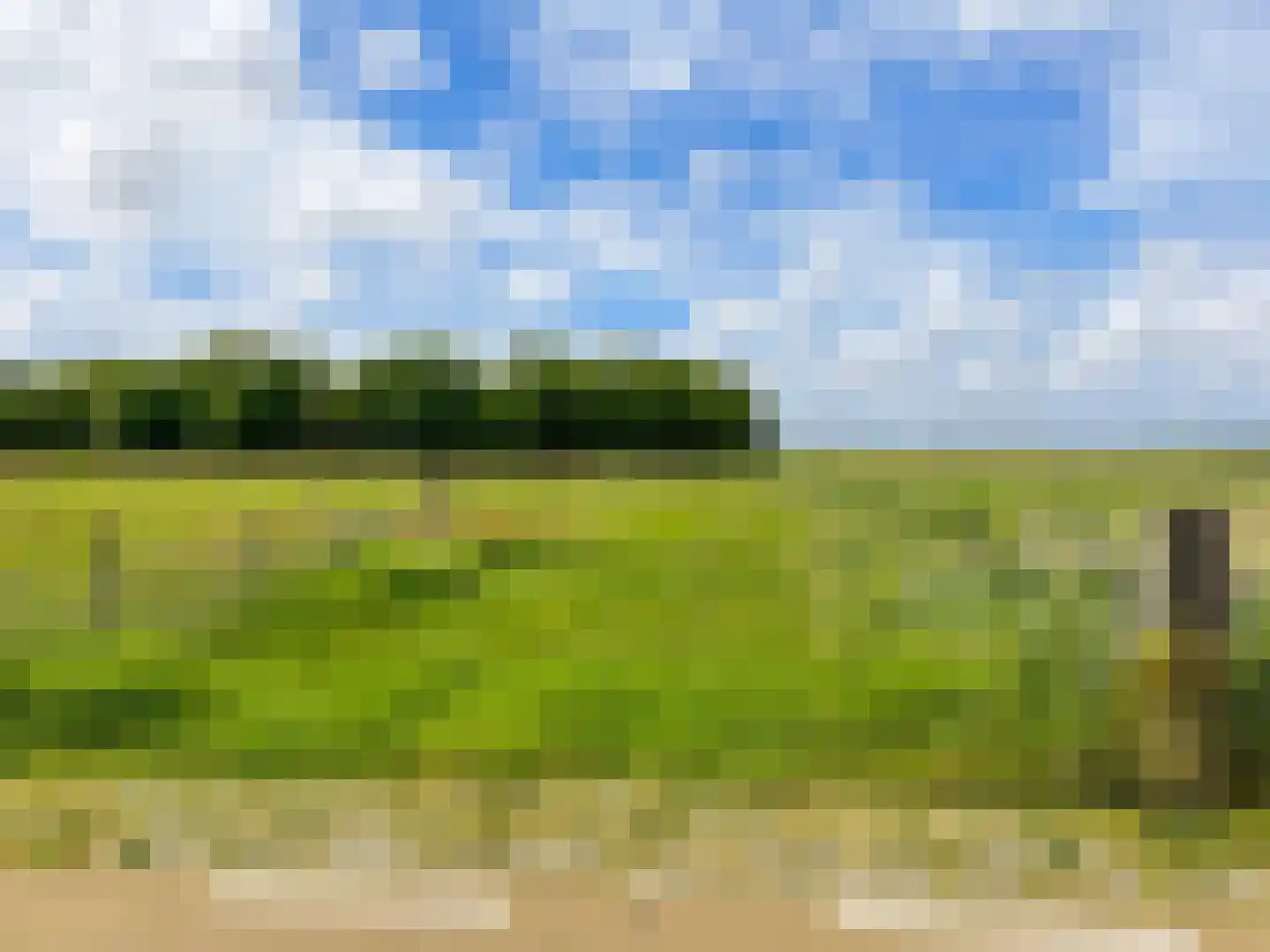 Muyweg 47 De Cocksdorp thumbnail 49