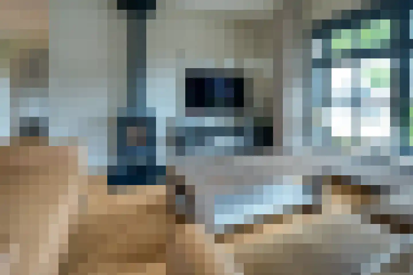 Mûzefalk 8 Harkema thumbnail 10