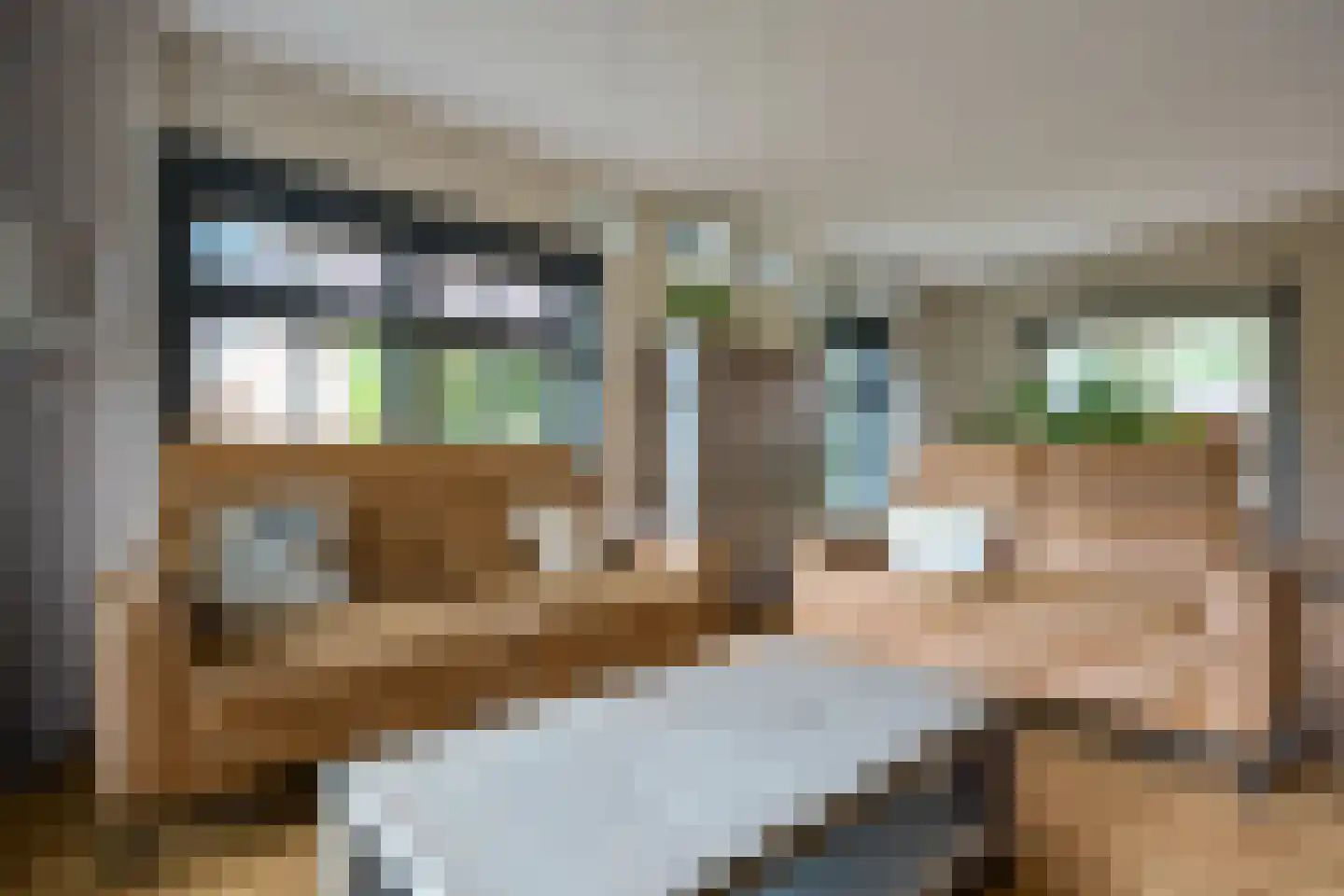 Mûzefalk 8 Harkema thumbnail 11