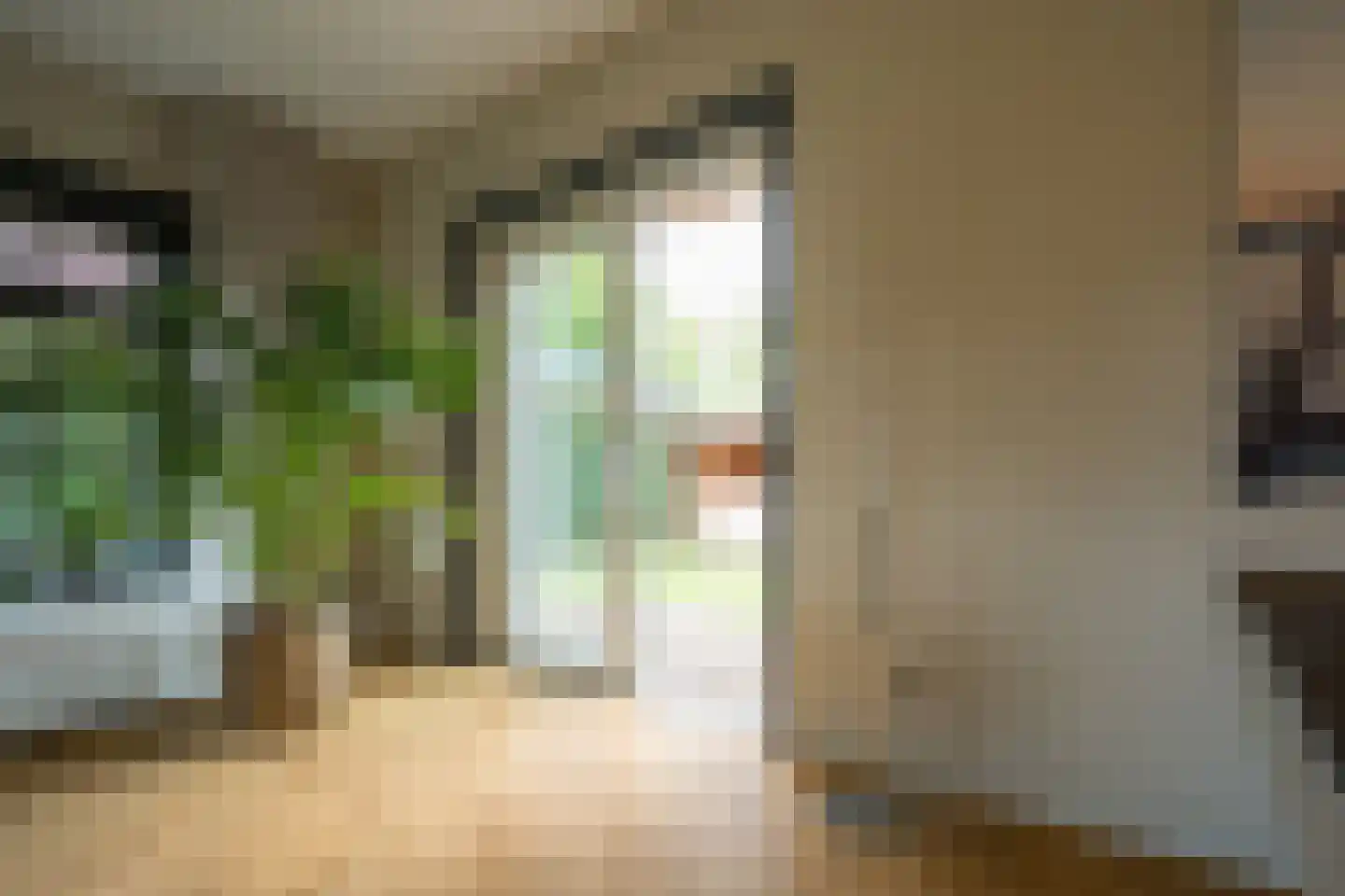 Mûzefalk 8 Harkema thumbnail 12