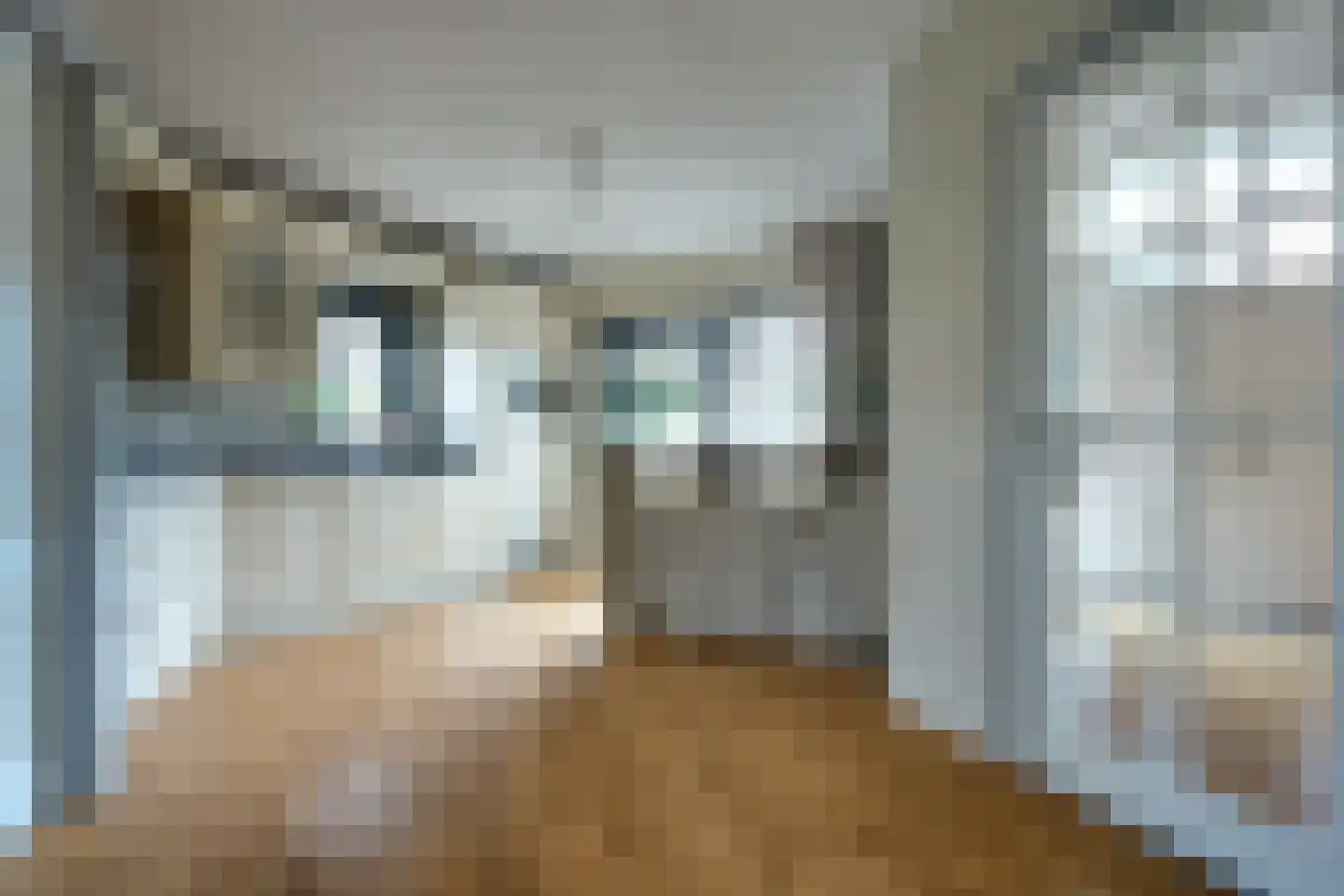 Mûzefalk 8 Harkema thumbnail 17