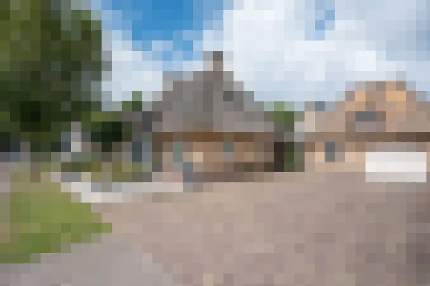 Mûzefalk 8 Harkema foto 2