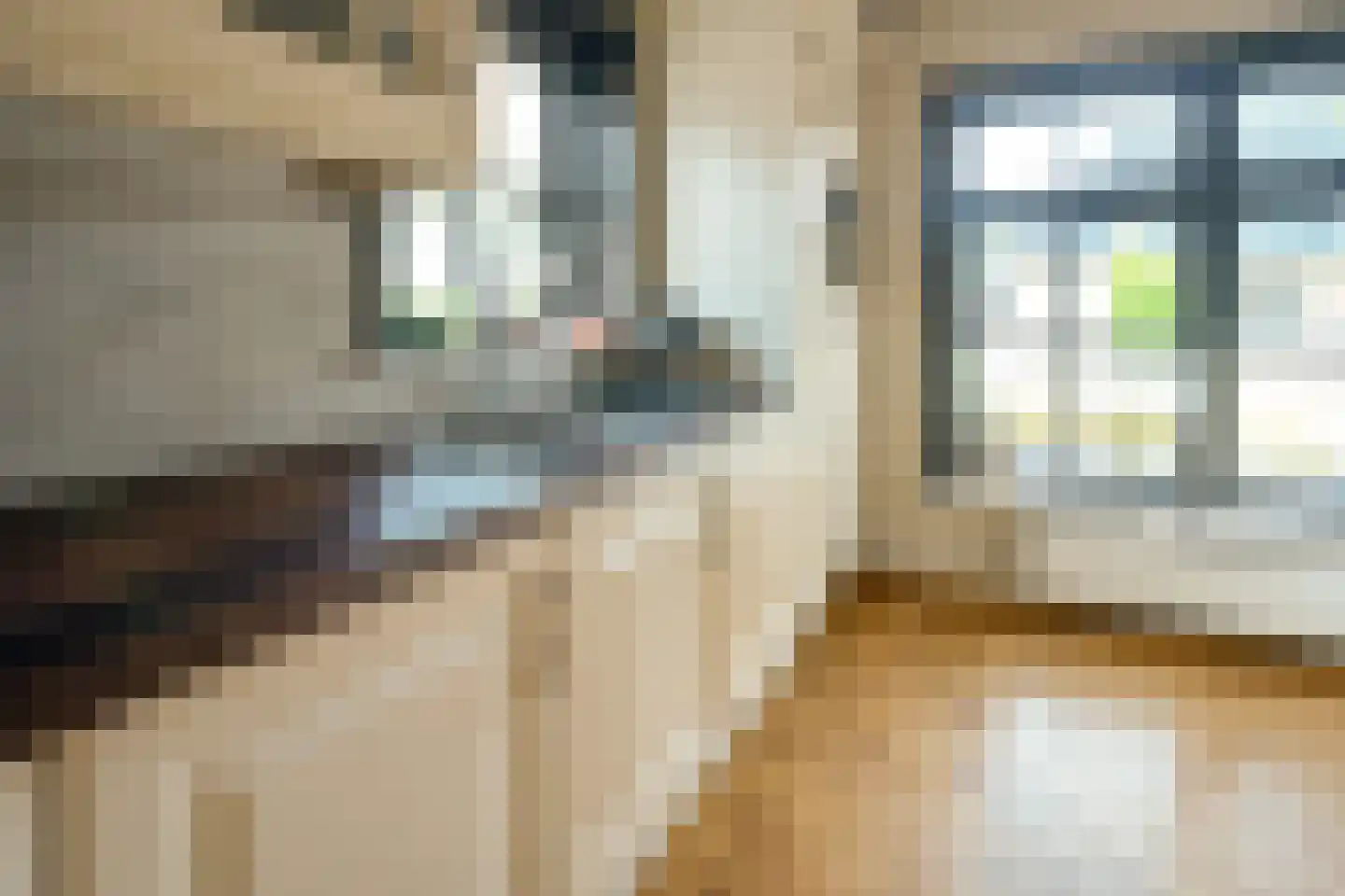 Mûzefalk 8 Harkema thumbnail 20