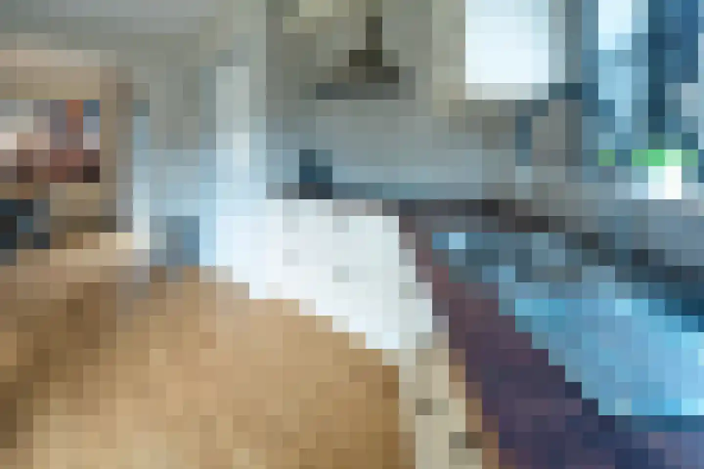 Mûzefalk 8 Harkema thumbnail 22