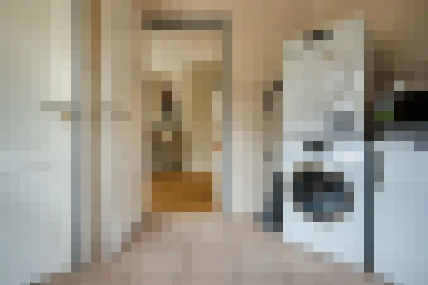 Mûzefalk 8 Harkema thumbnail 24