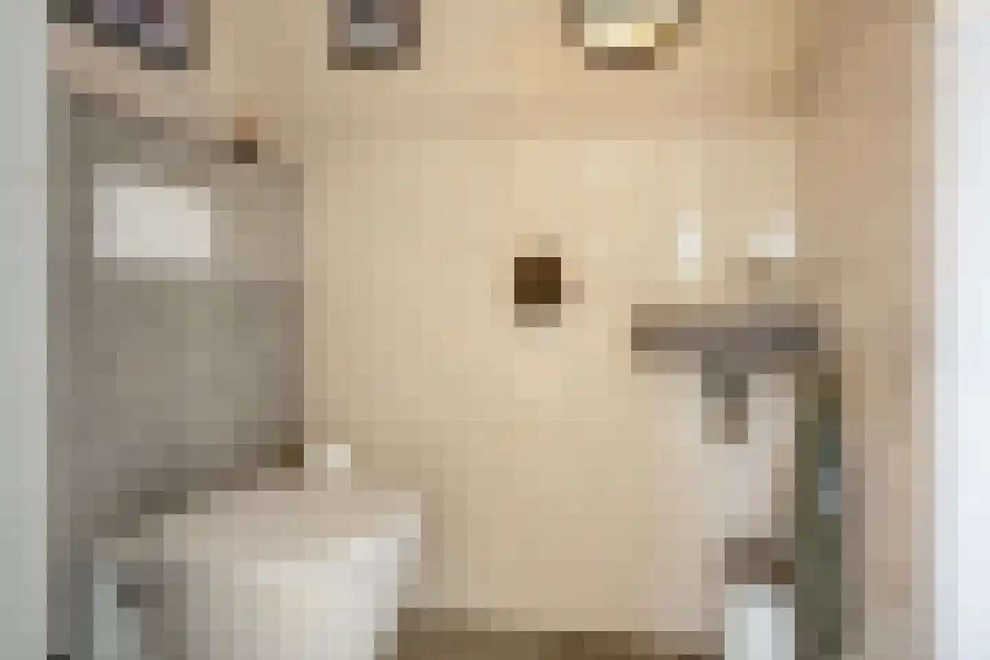 Mûzefalk 8 Harkema thumbnail 25