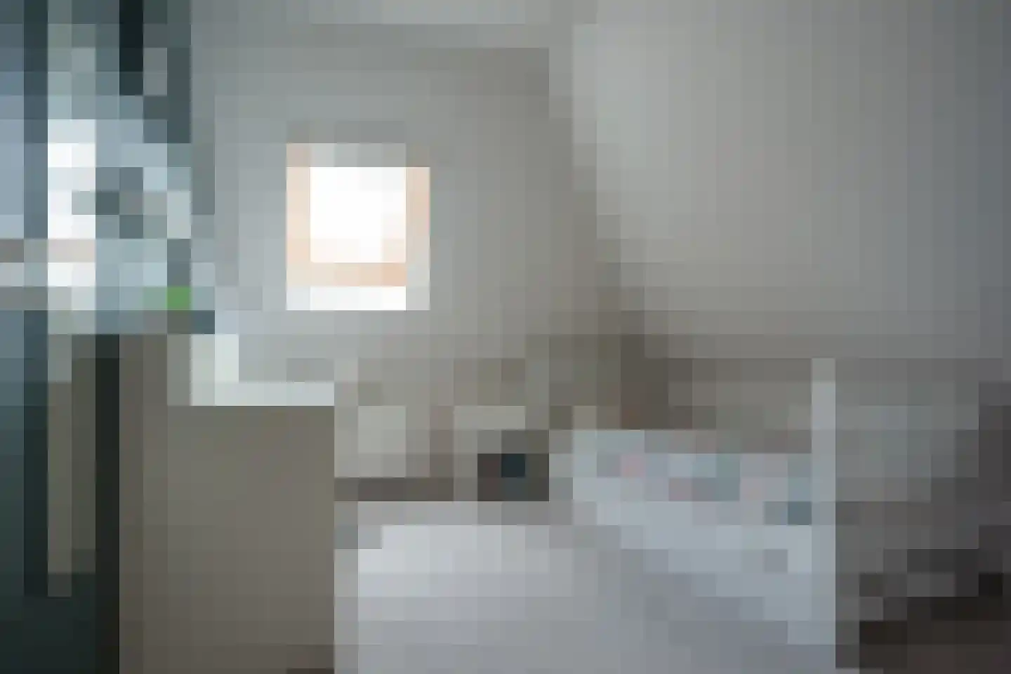 Mûzefalk 8 Harkema thumbnail 29