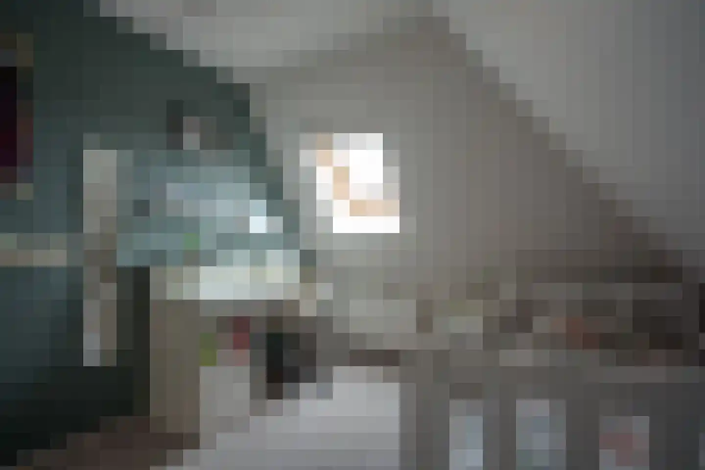 Mûzefalk 8 Harkema thumbnail 30