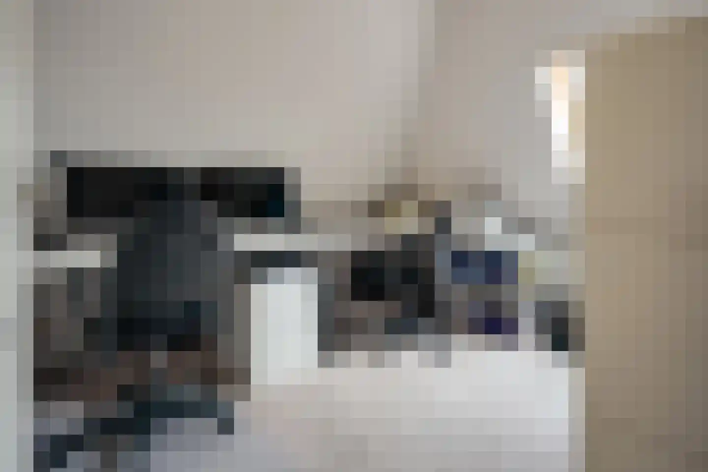 Mûzefalk 8 Harkema thumbnail 31