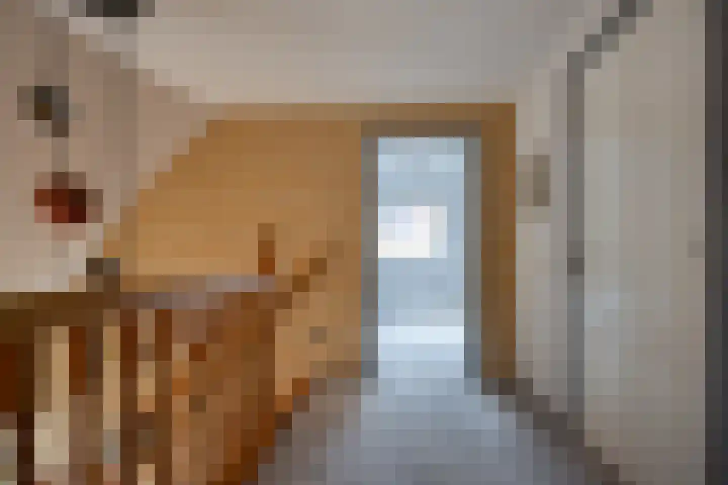 Mûzefalk 8 Harkema thumbnail 32