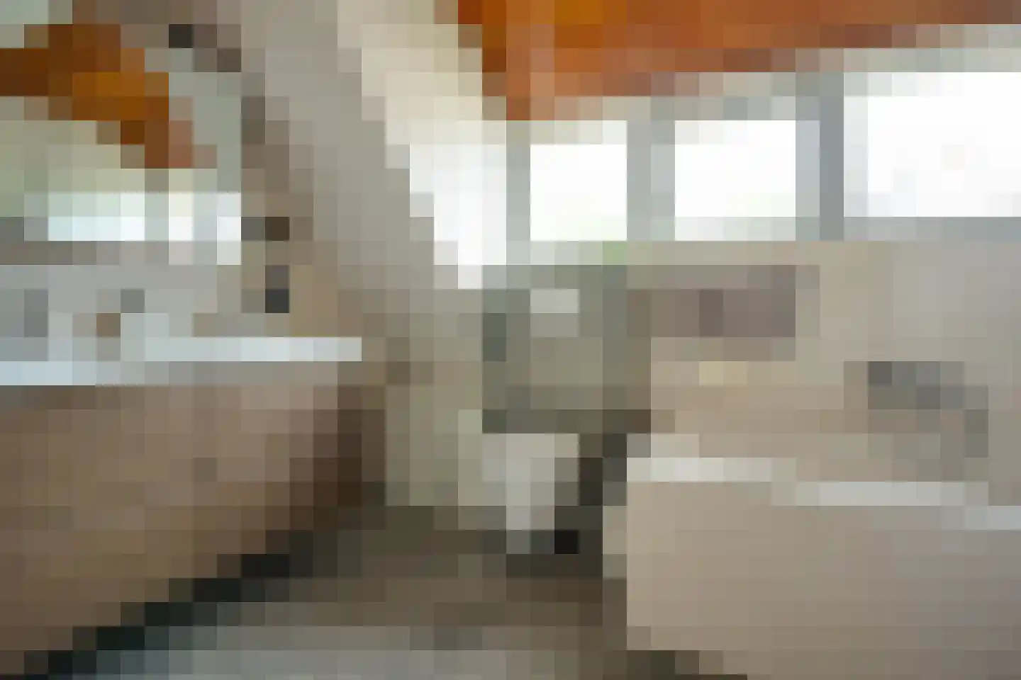 Mûzefalk 8 Harkema thumbnail 37