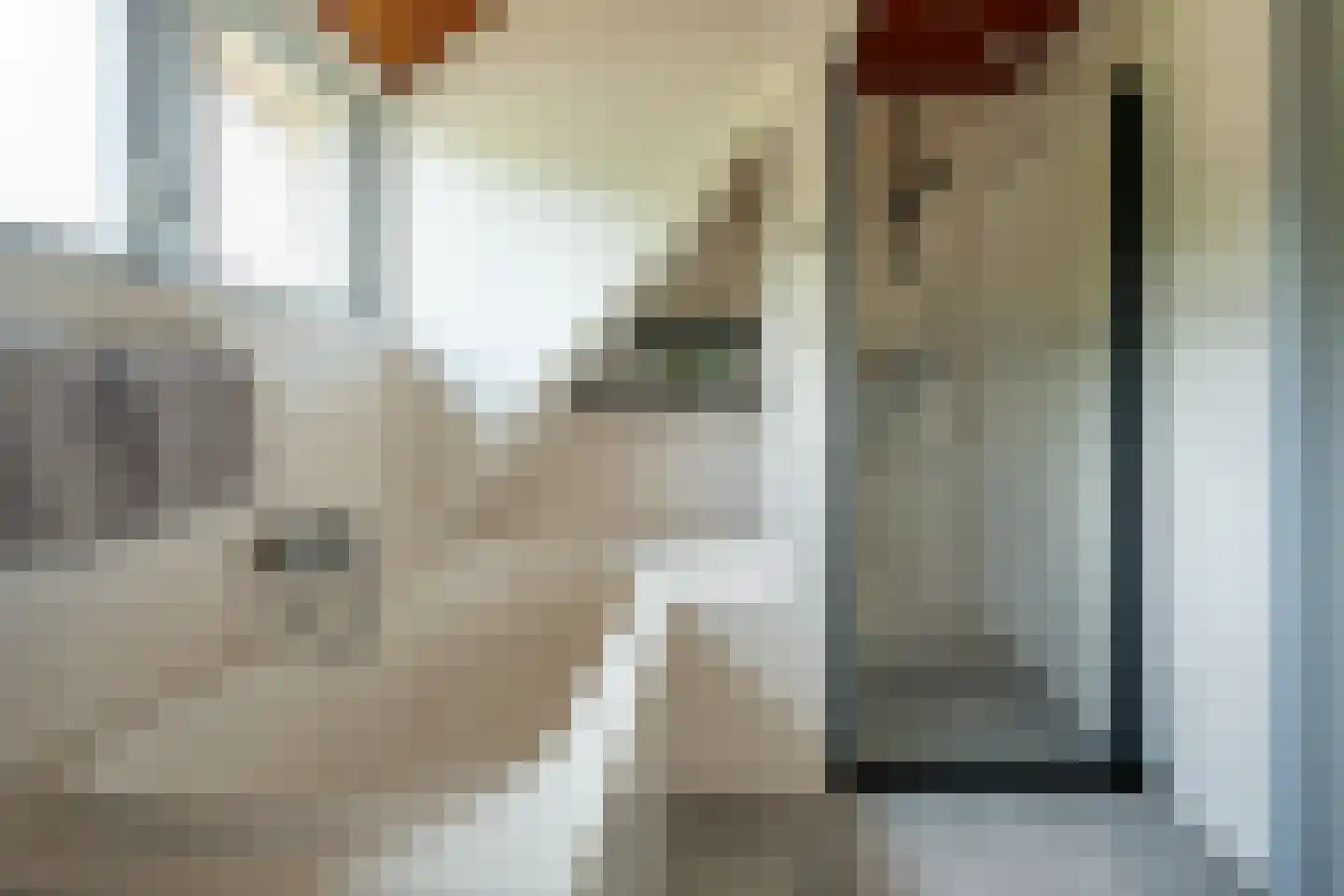 Mûzefalk 8 Harkema thumbnail 38