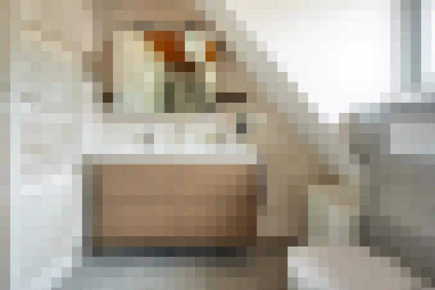 Mûzefalk 8 Harkema thumbnail 39