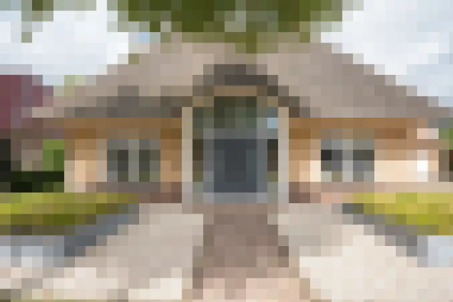 Mûzefalk 8 Harkema thumbnail 4