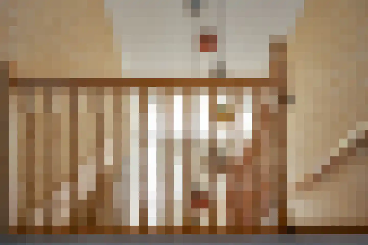 Mûzefalk 8 Harkema thumbnail 40
