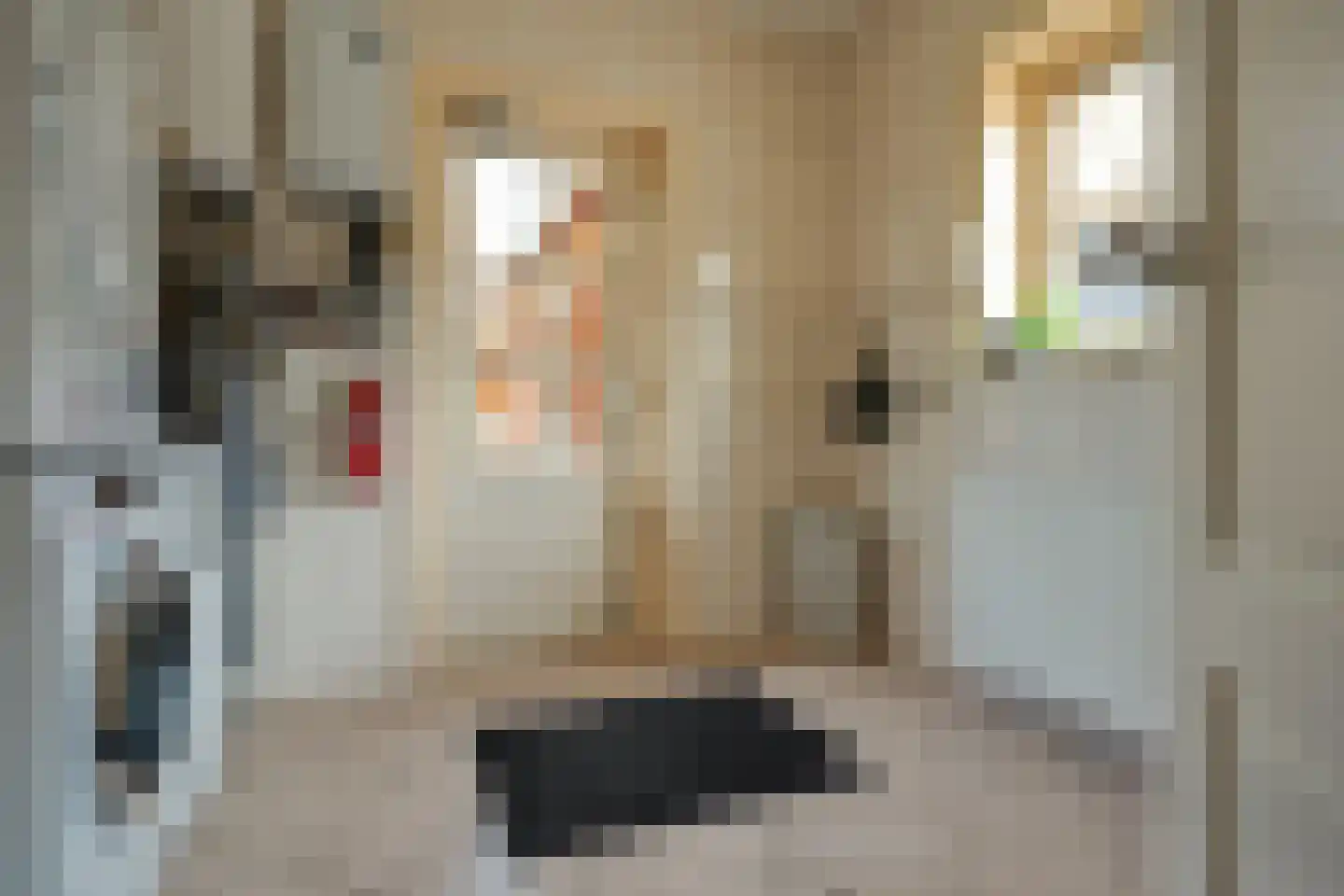 Mûzefalk 8 Harkema thumbnail 41