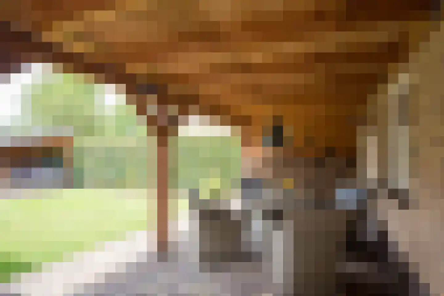 Mûzefalk 8 Harkema thumbnail 42