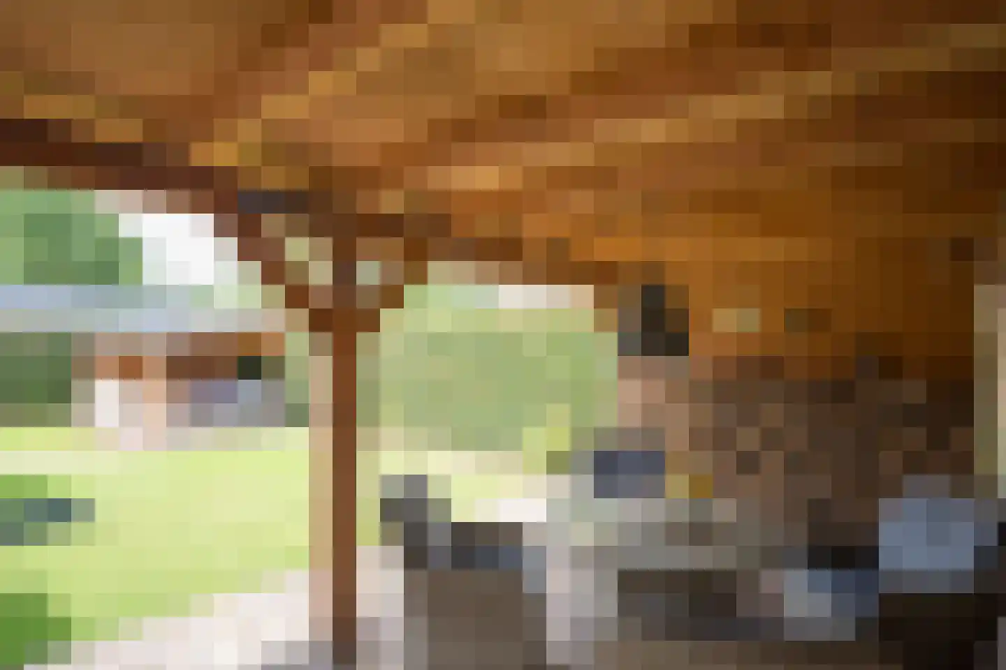 Mûzefalk 8 Harkema thumbnail 43