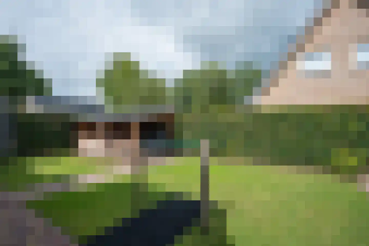 Mûzefalk 8 Harkema thumbnail 44