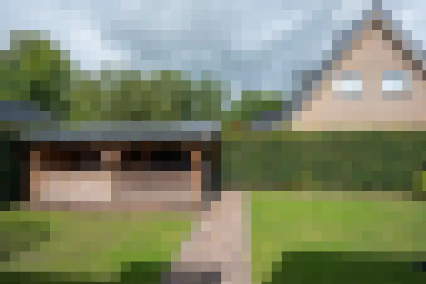Mûzefalk 8 Harkema thumbnail 45