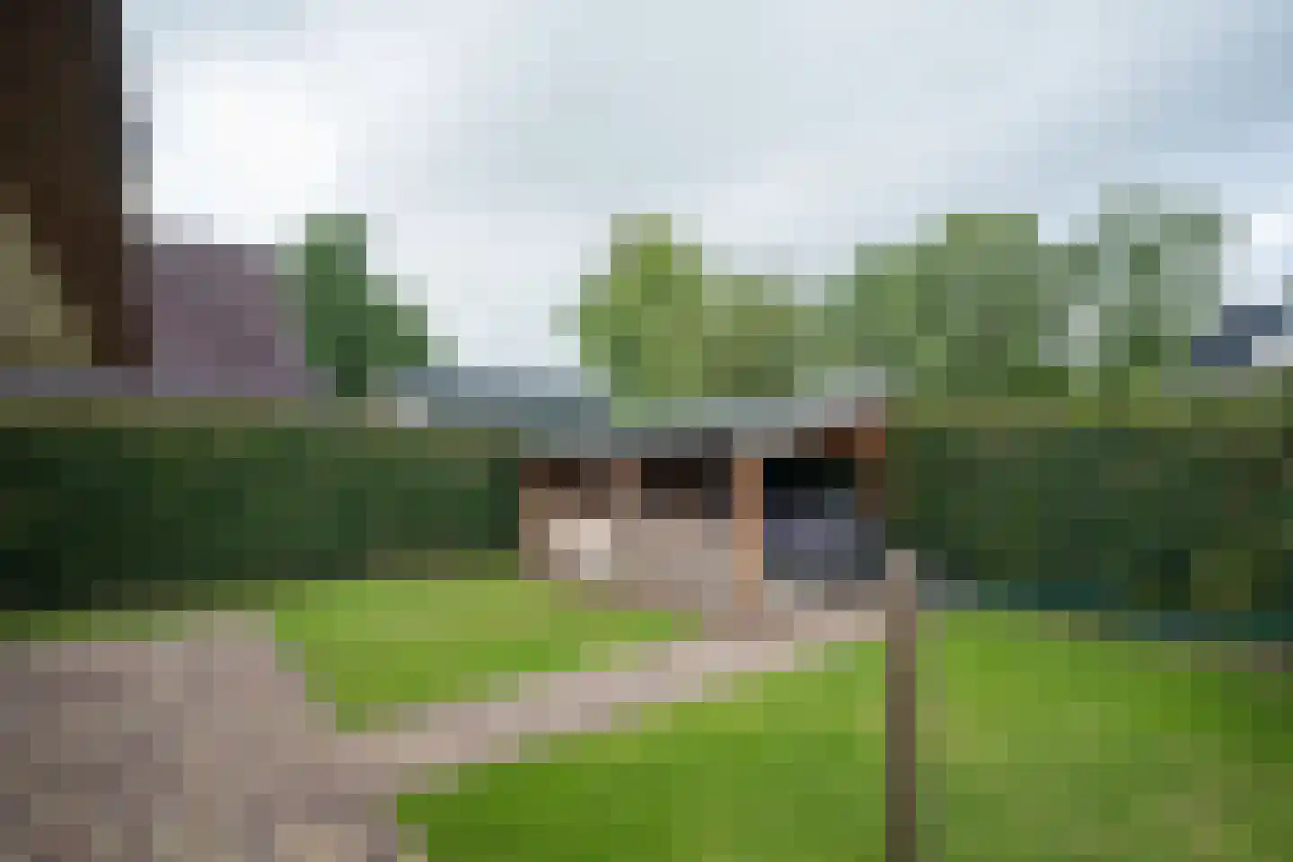 Mûzefalk 8 Harkema thumbnail 46