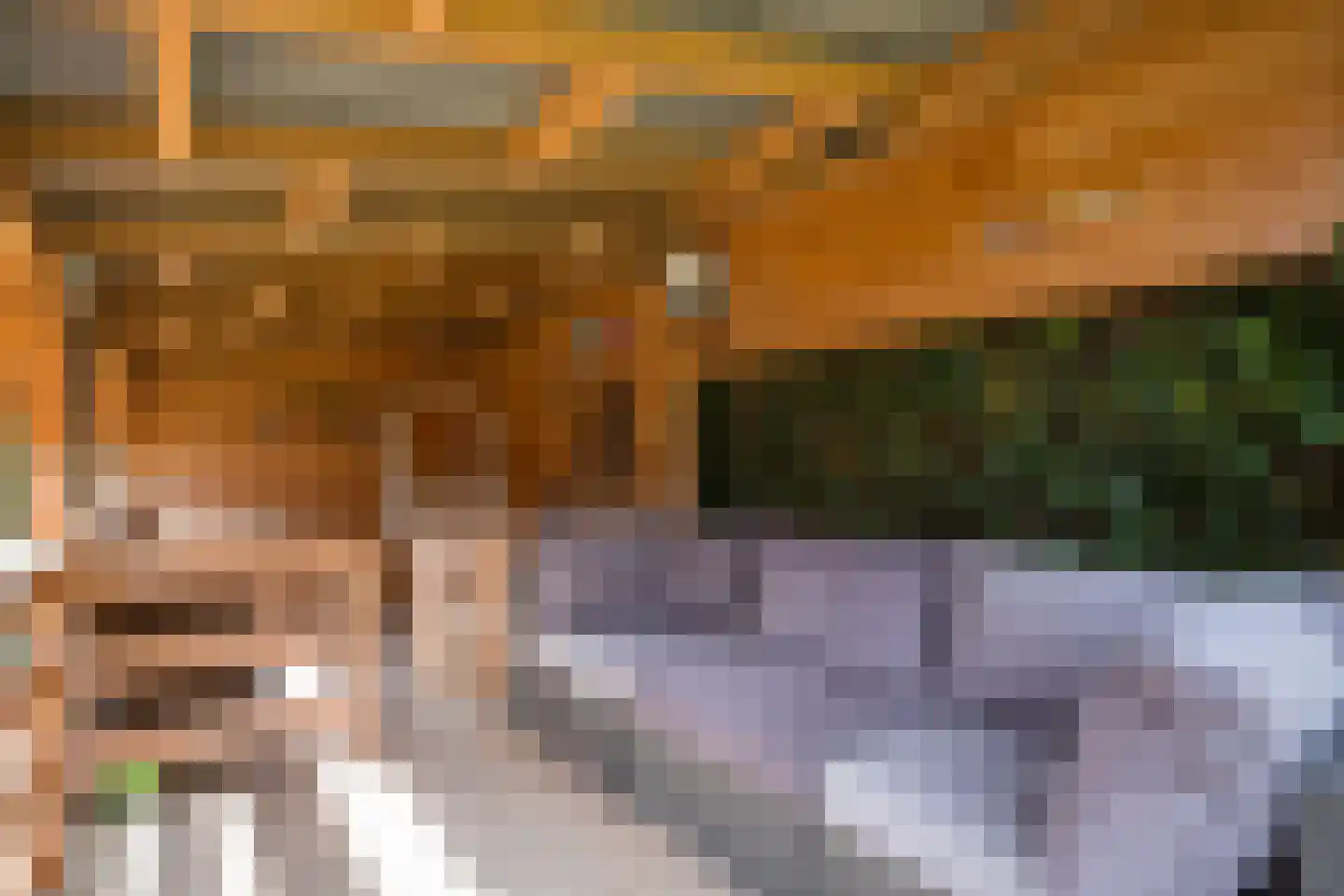 Mûzefalk 8 Harkema thumbnail 48