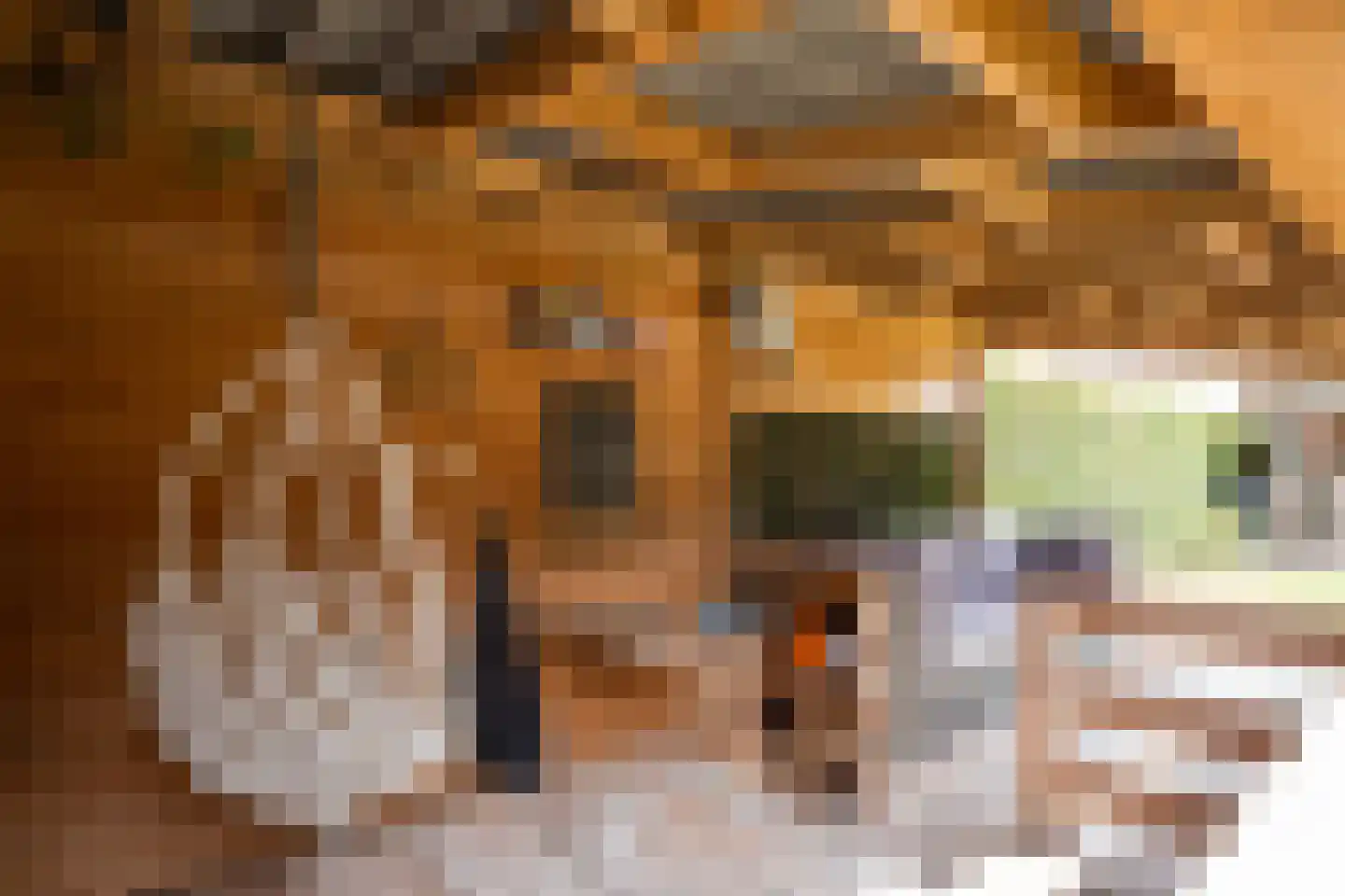 Mûzefalk 8 Harkema thumbnail 49