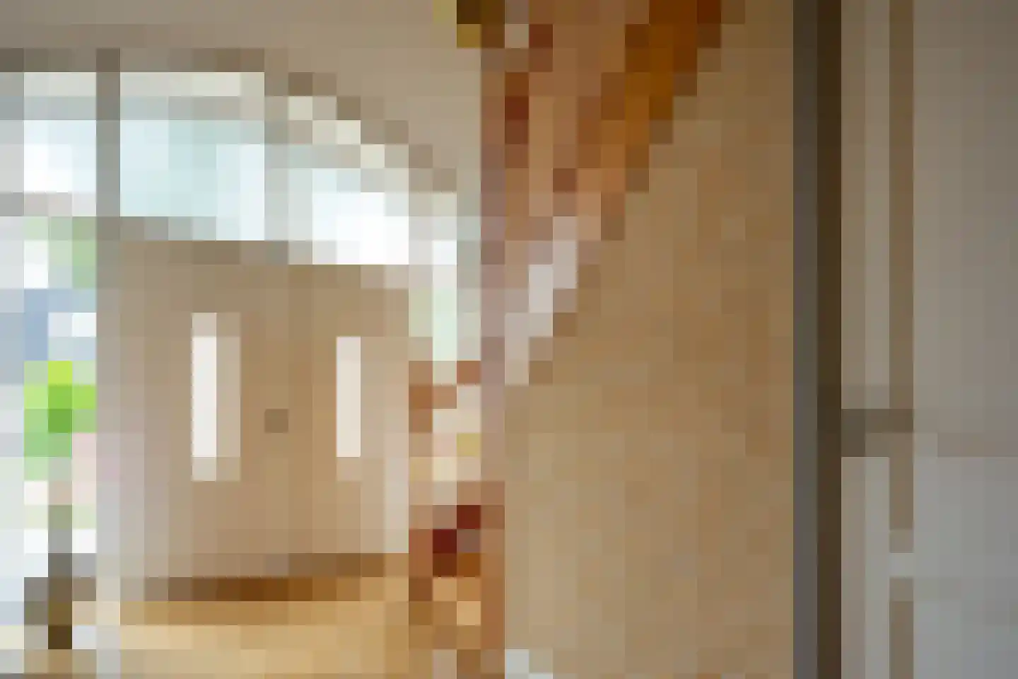 Mûzefalk 8 Harkema thumbnail 5