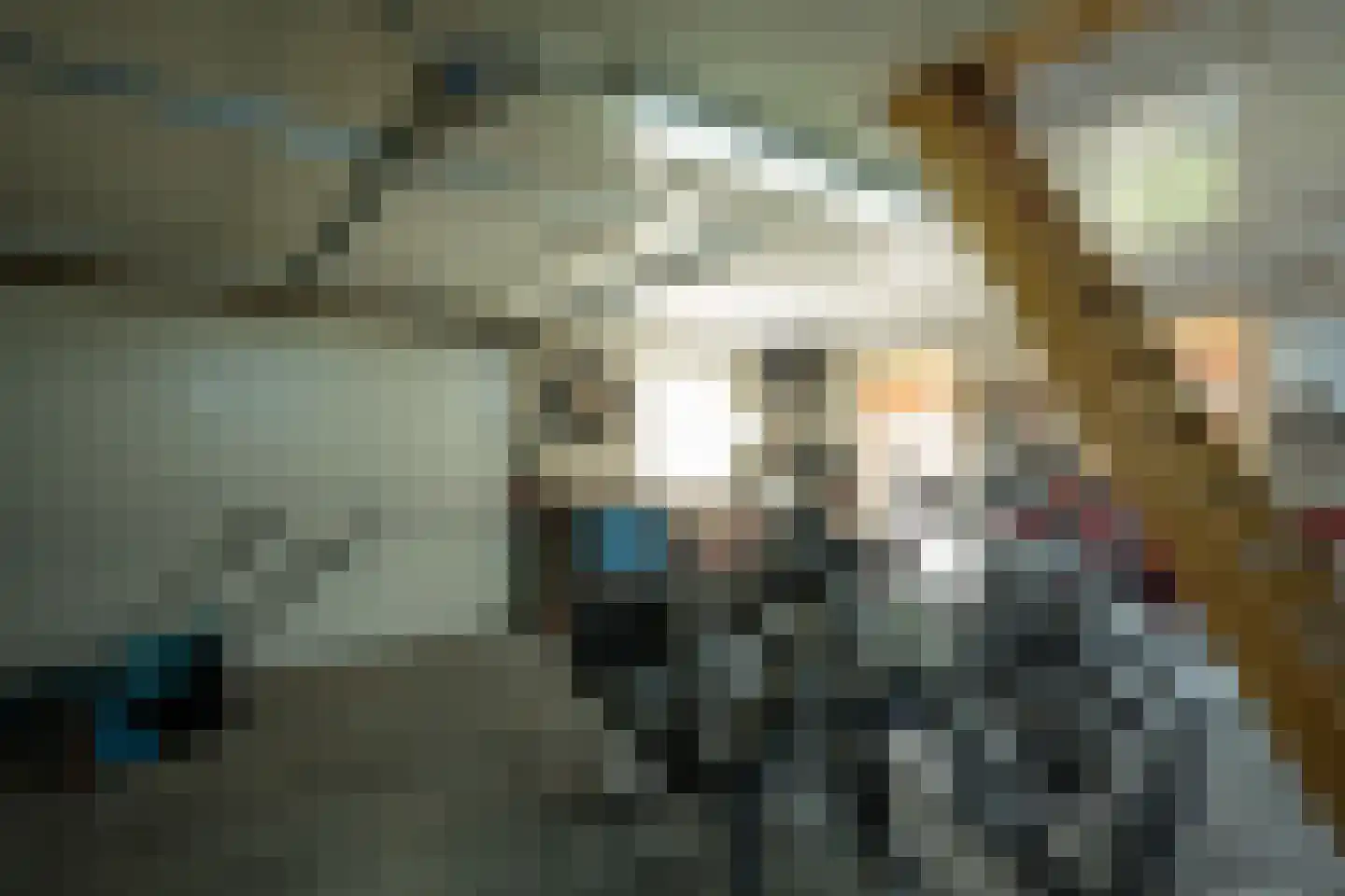 Mûzefalk 8 Harkema thumbnail 52