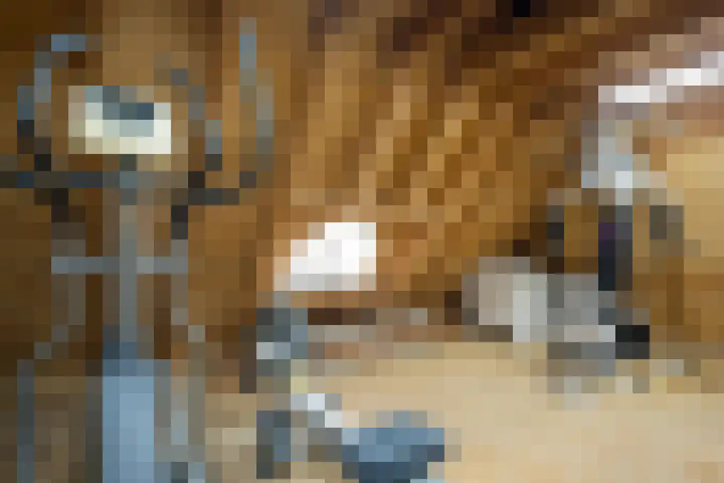 Mûzefalk 8 Harkema thumbnail 54