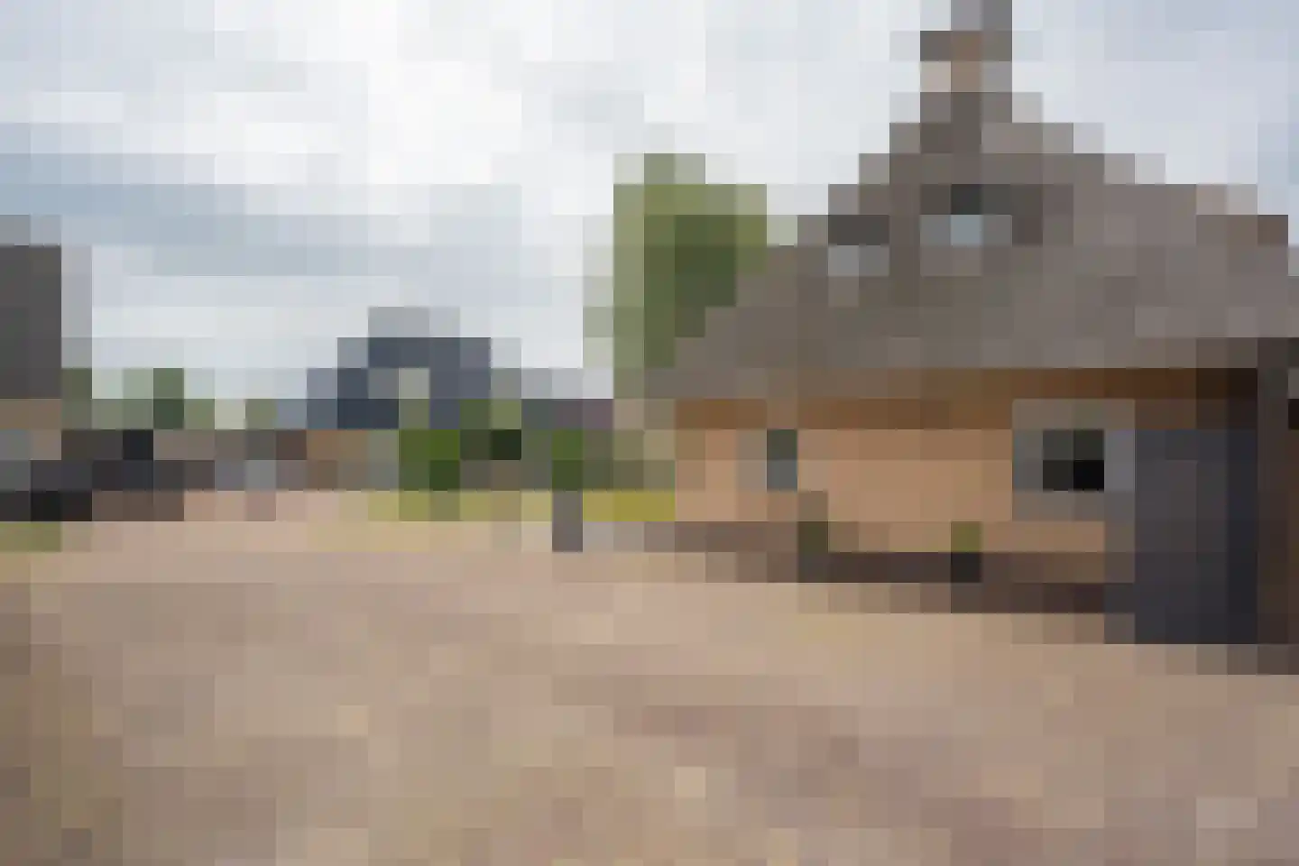 Mûzefalk 8 Harkema thumbnail 55