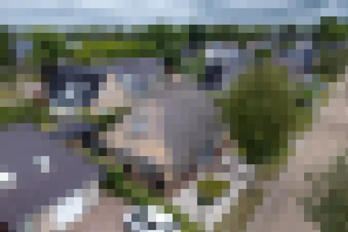 Mûzefalk 8 Harkema thumbnail 58