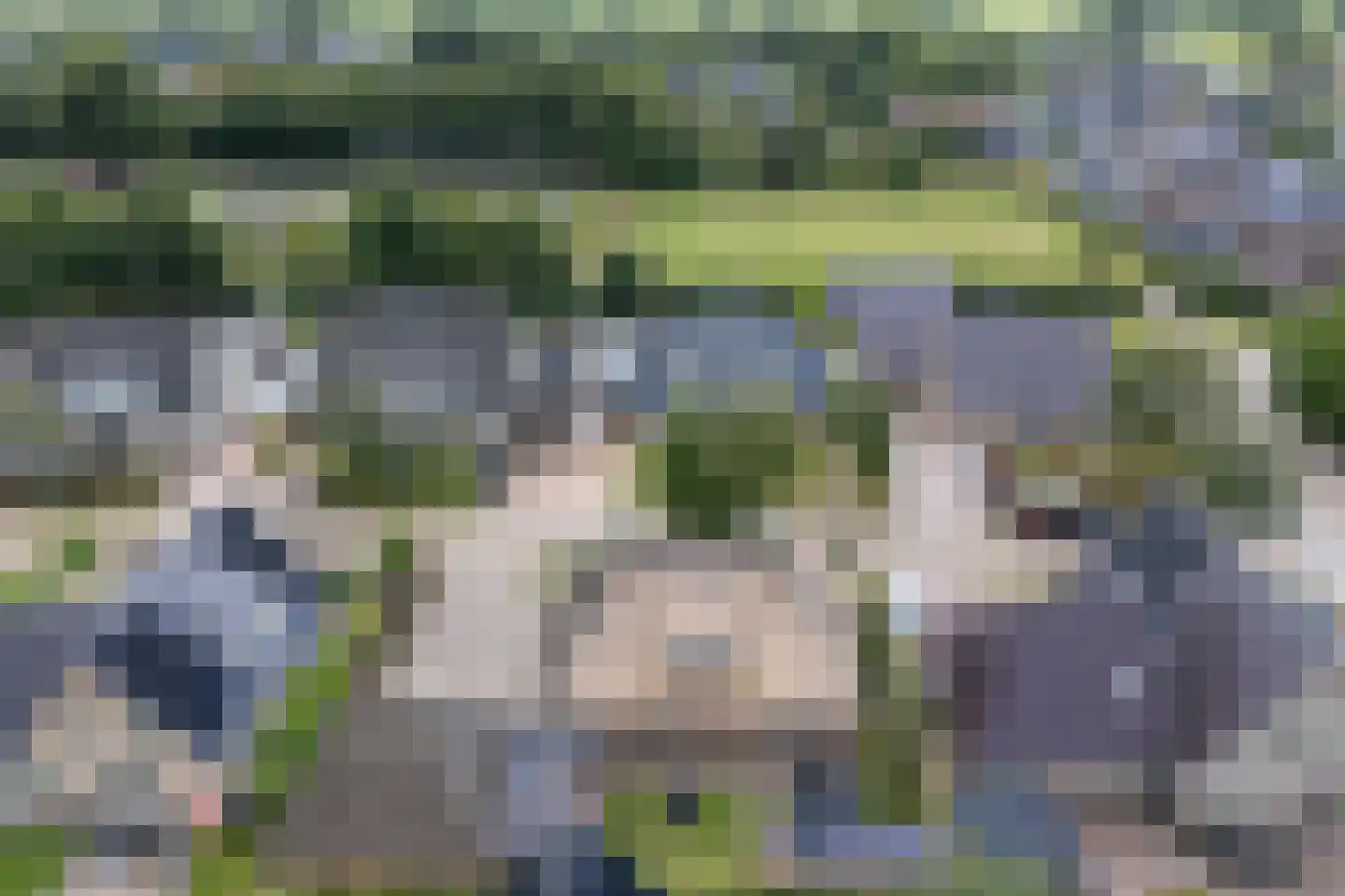 Mûzefalk 8 Harkema thumbnail 60