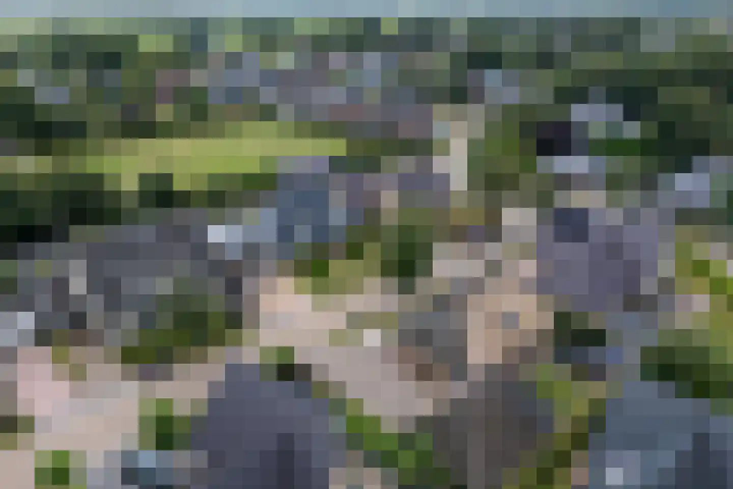 Mûzefalk 8 Harkema thumbnail 61