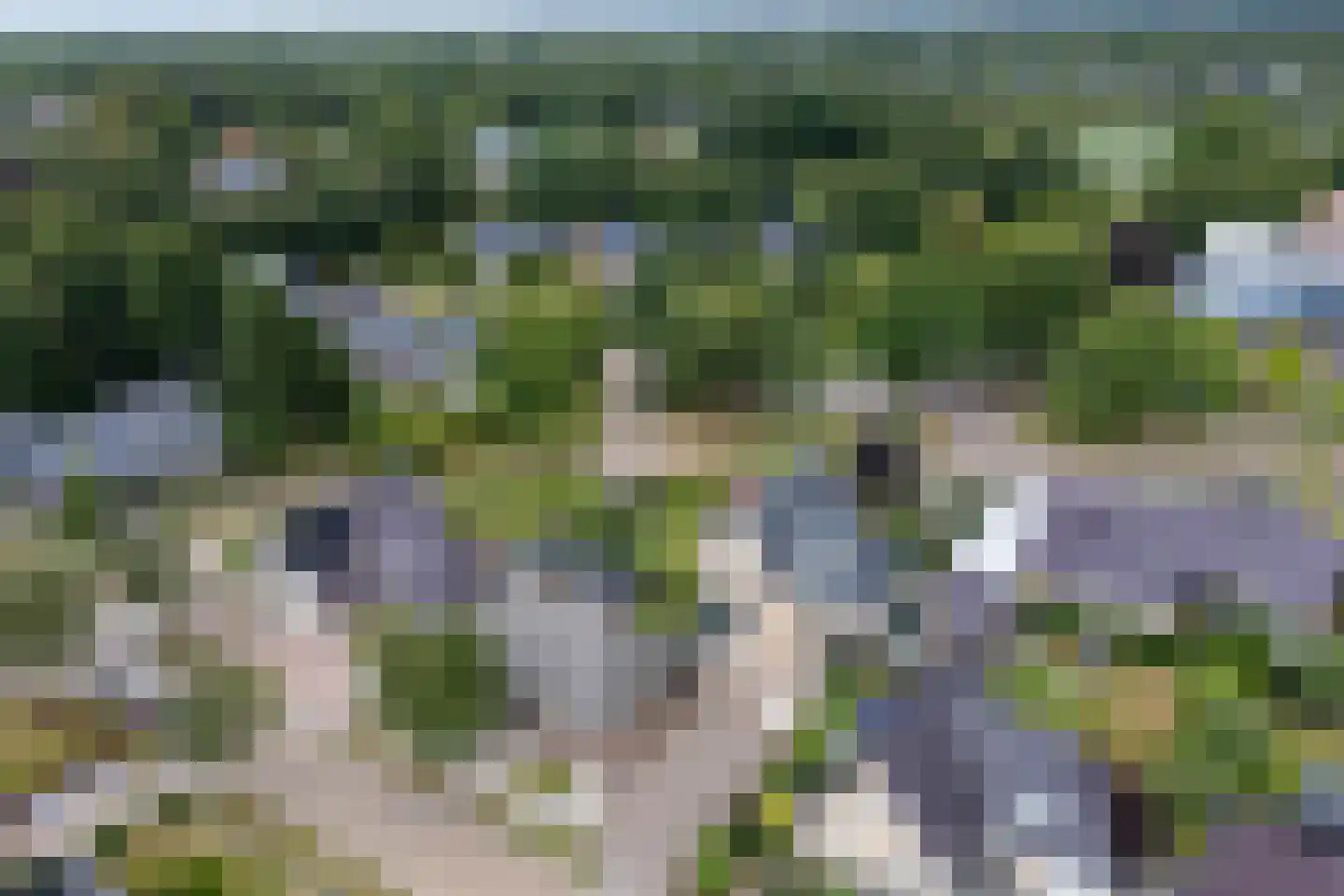 Mûzefalk 8 Harkema thumbnail 62