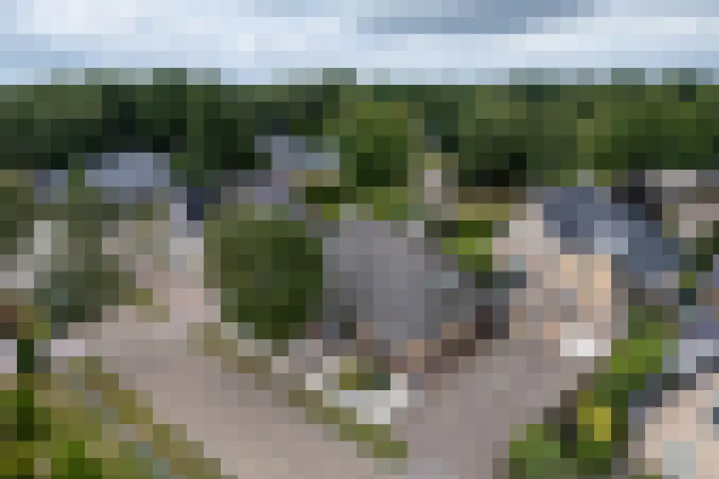 Mûzefalk 8 Harkema thumbnail 63