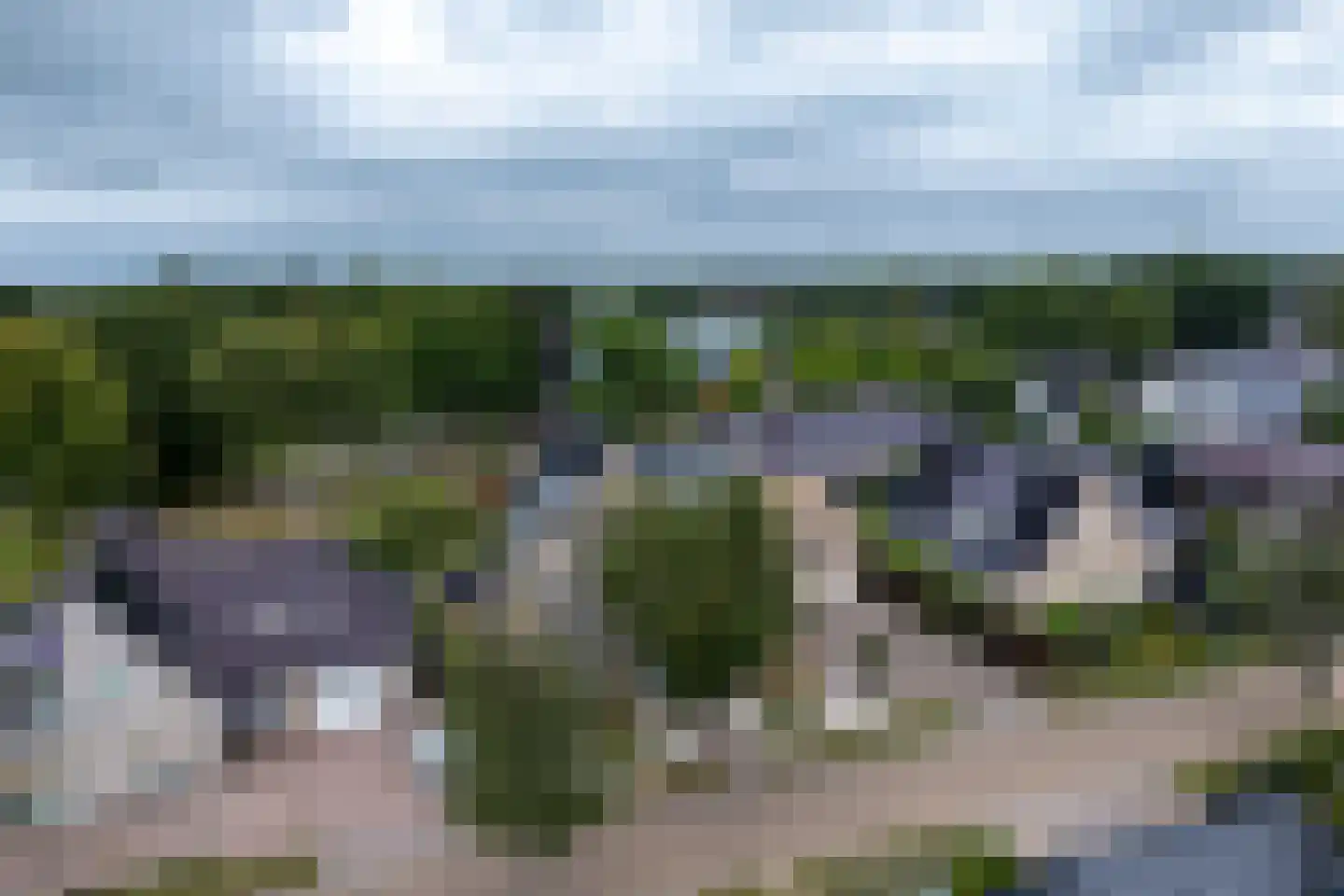 Mûzefalk 8 Harkema thumbnail 64